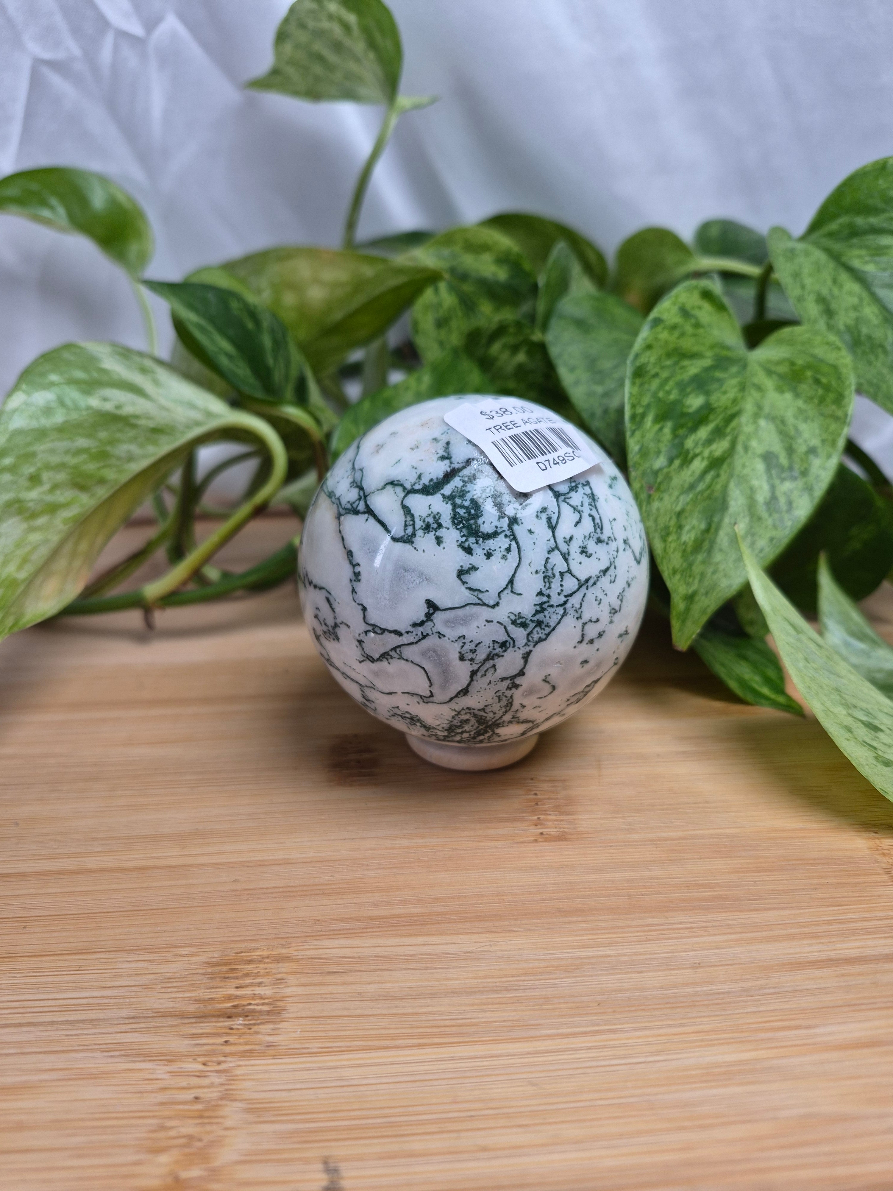 TREE AGATE SPHERE