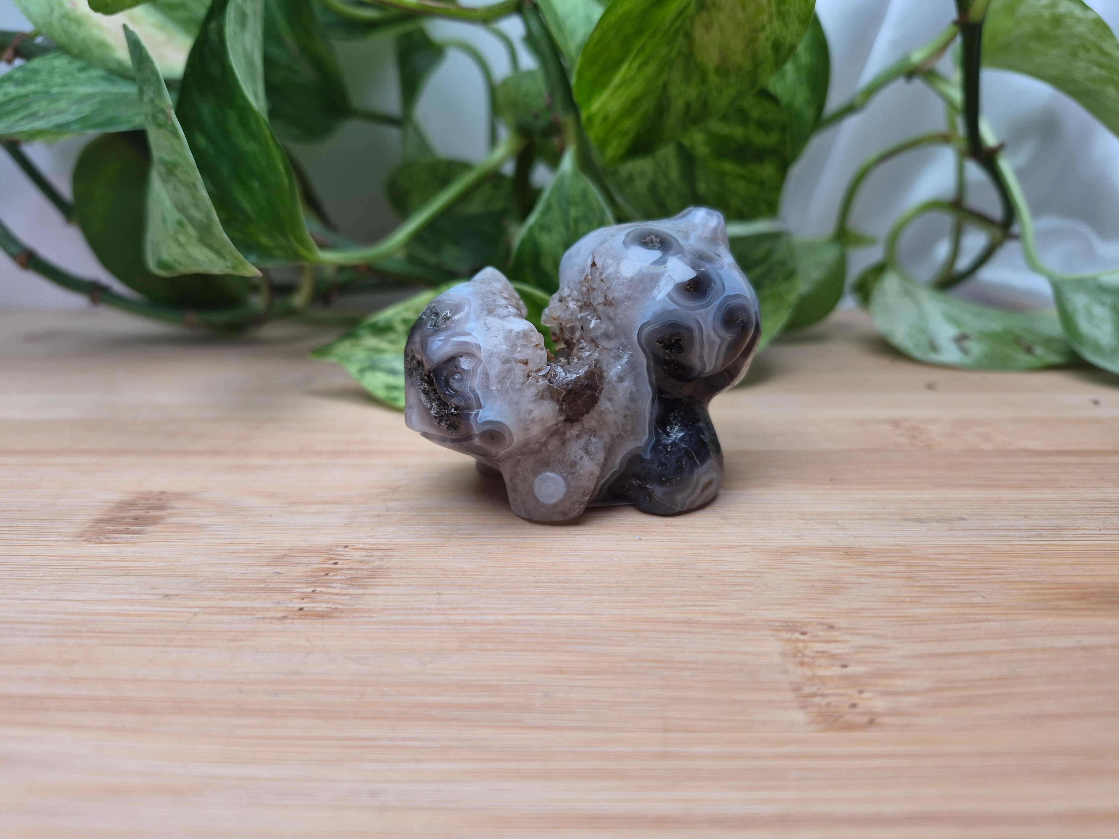 MOSS AGATE BULBASAUR MD