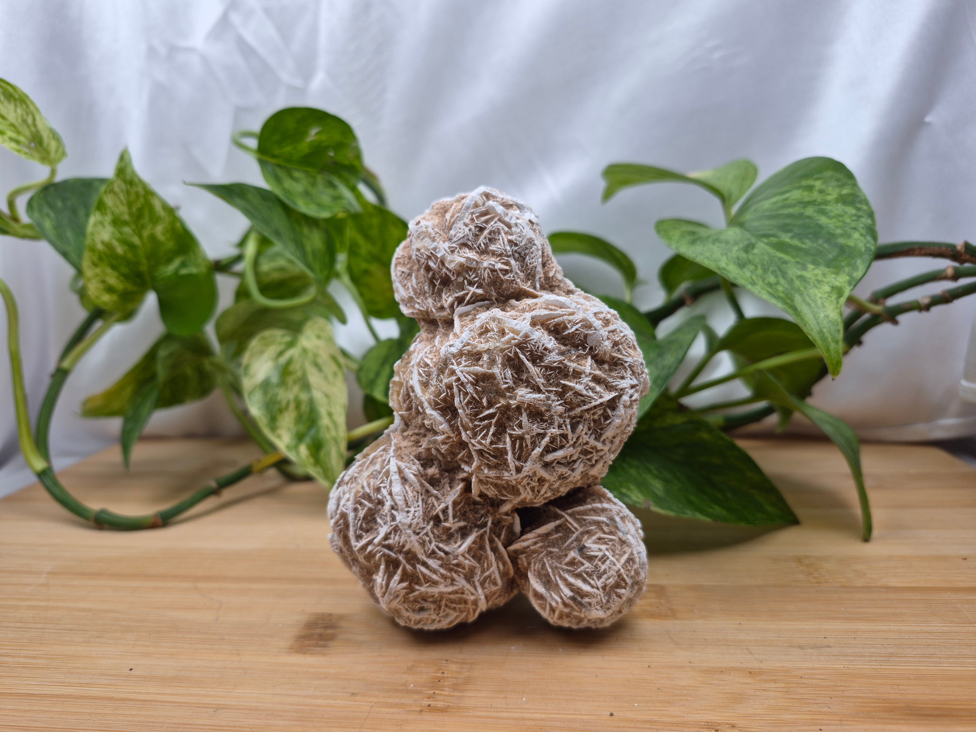 DESERT ROSE LARGE ROUGH CHUNK