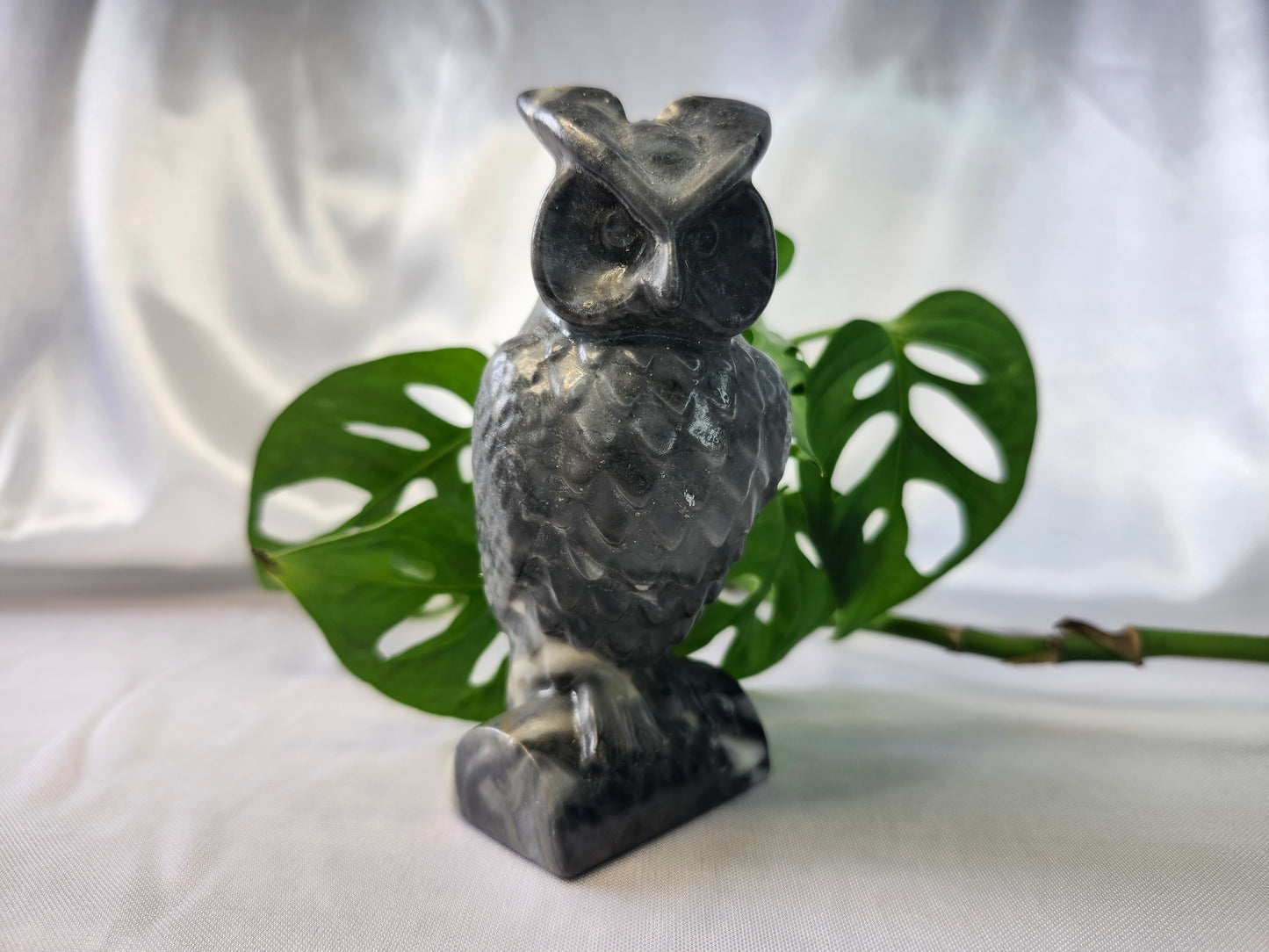 PICASSO JASPER OWL