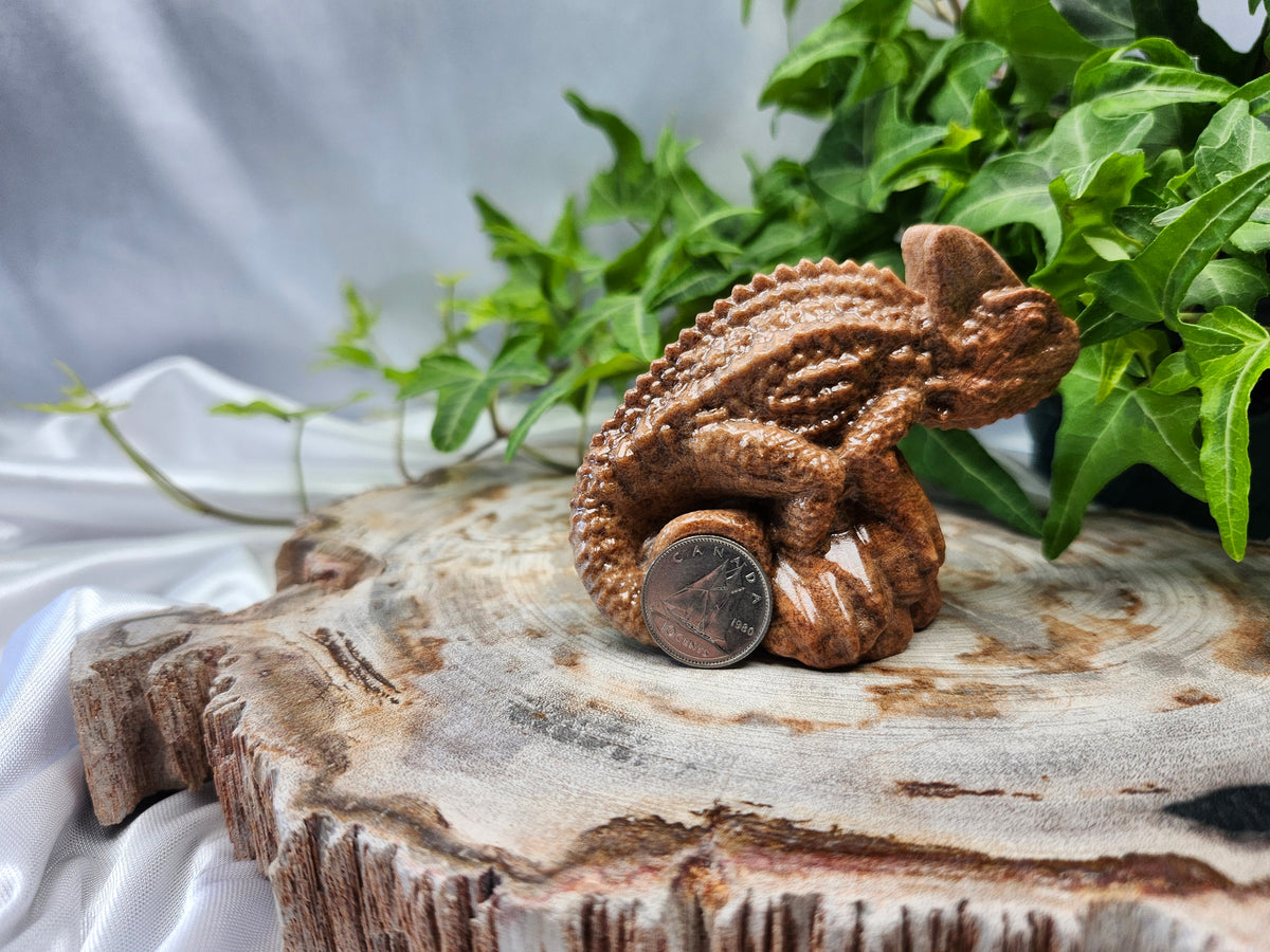 BANDED ARAGONITE CHAMELEON