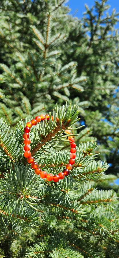 6mm CARNELIAN BRACELET