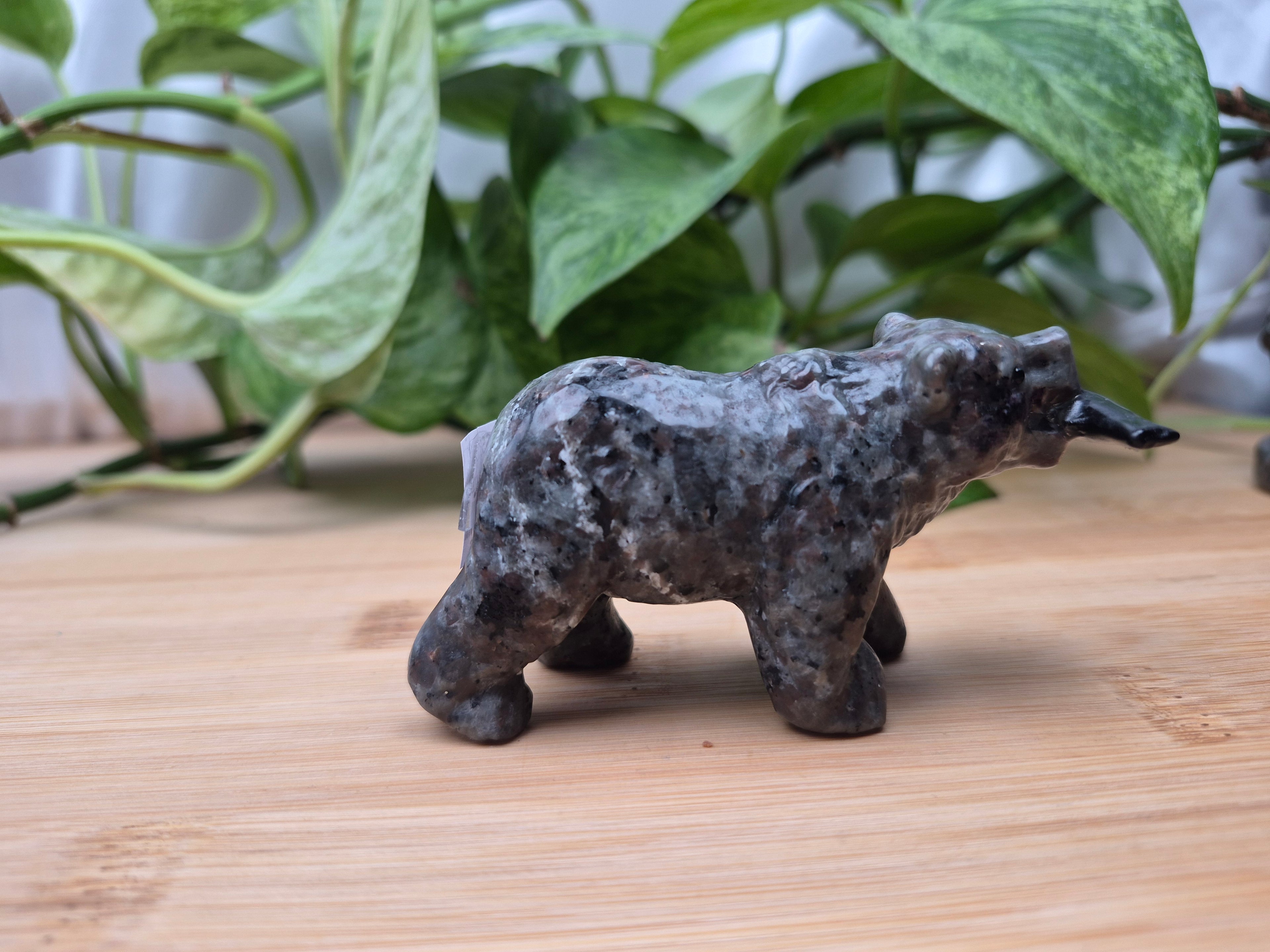 YOOPERLITE BEAR WITH FISH