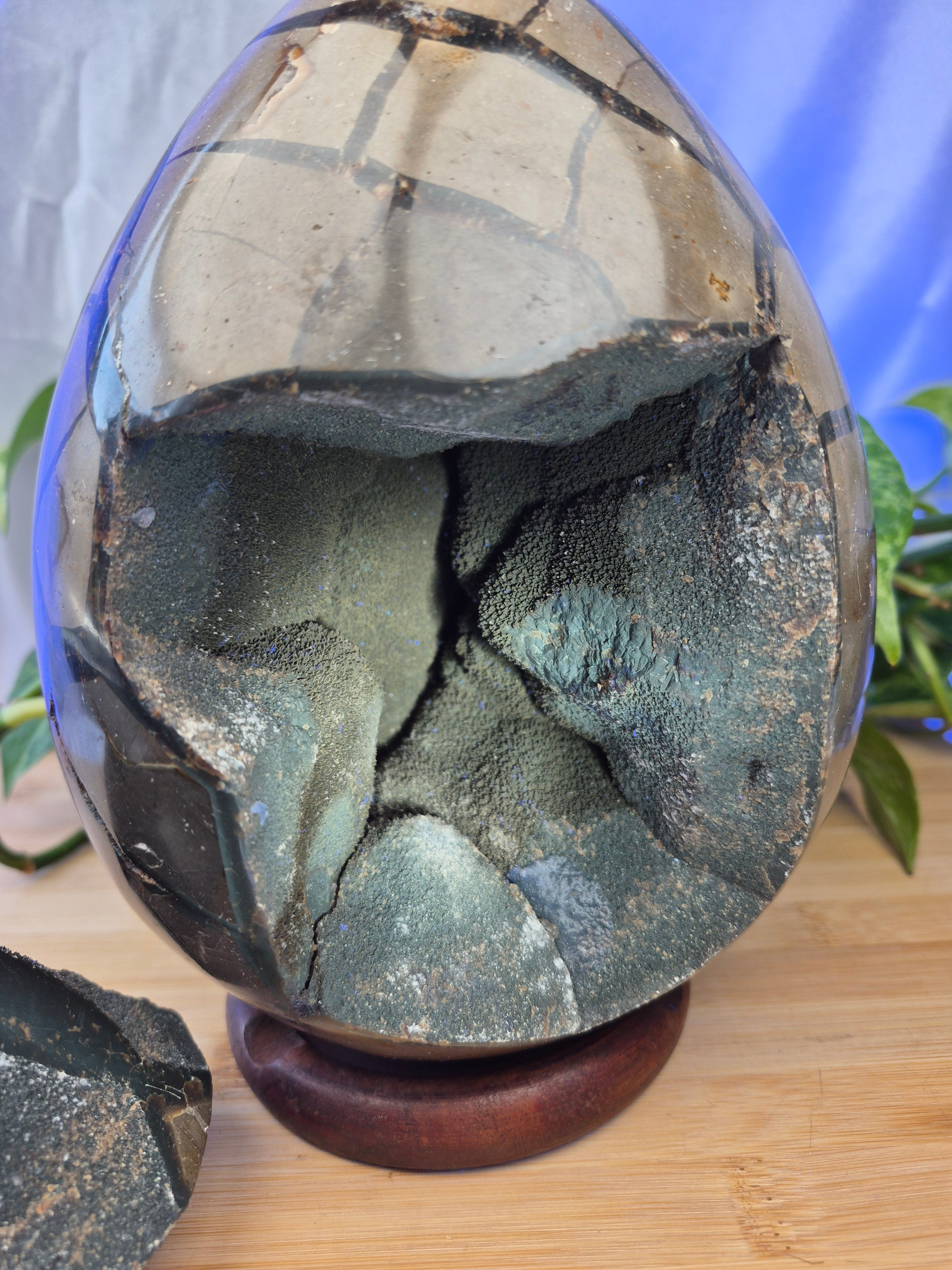 SEPTARIAN DRAGON EGG