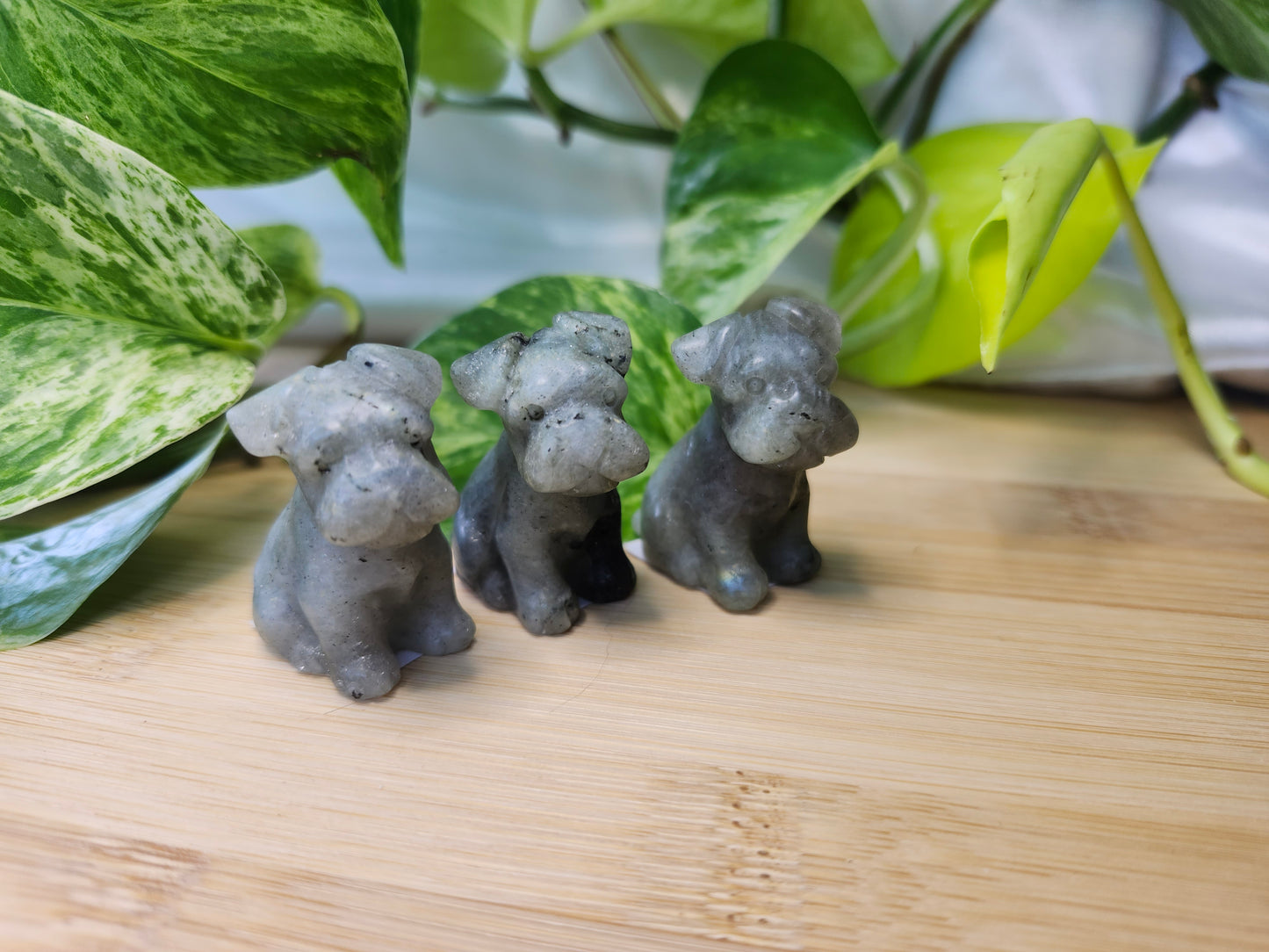 LABRADORITE SITTING DOG
