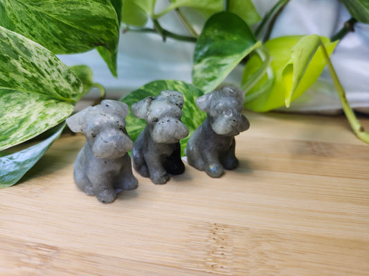 LABRADORITE SITTING DOG