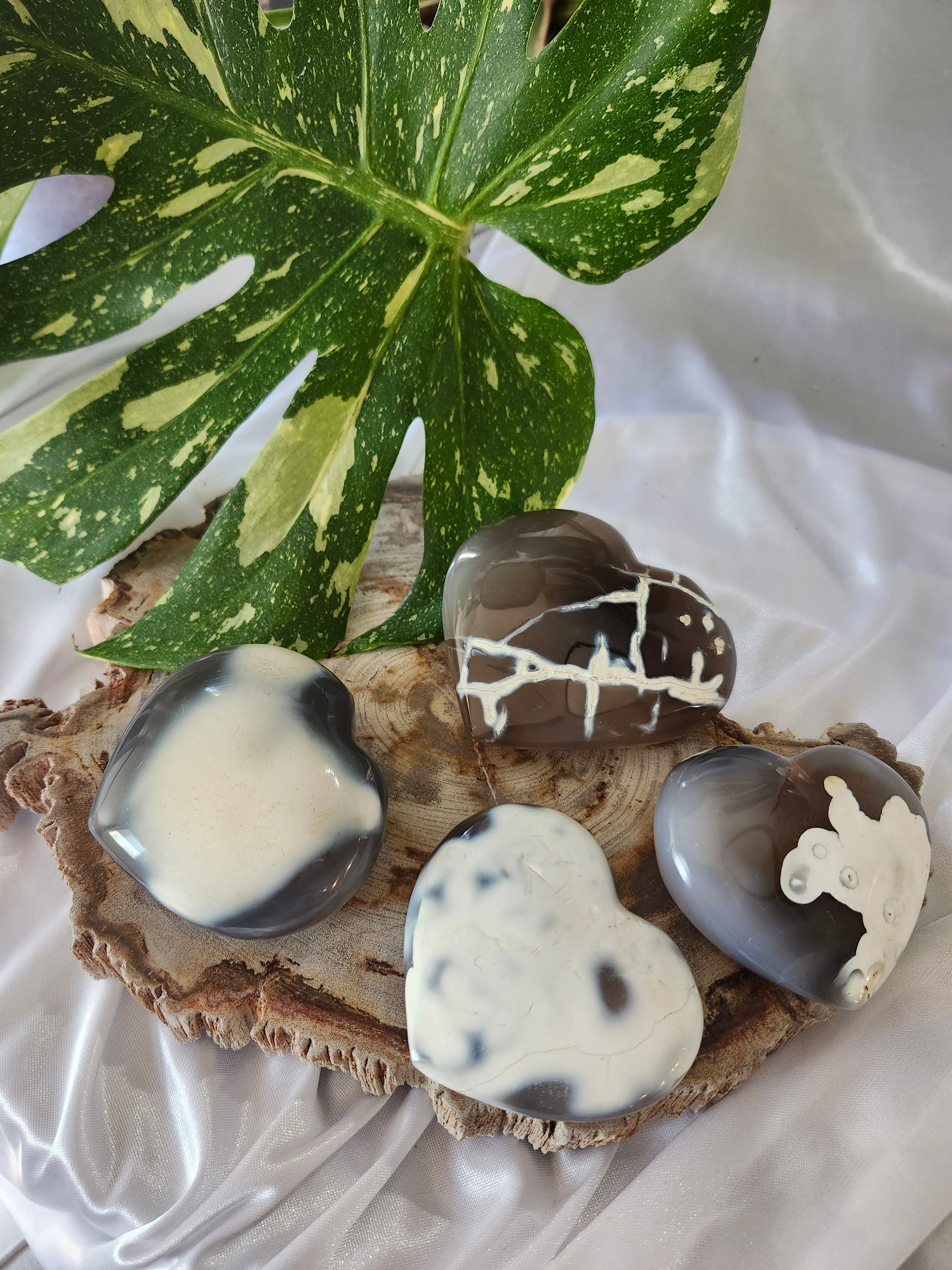 ORCA AGATE HEART MD