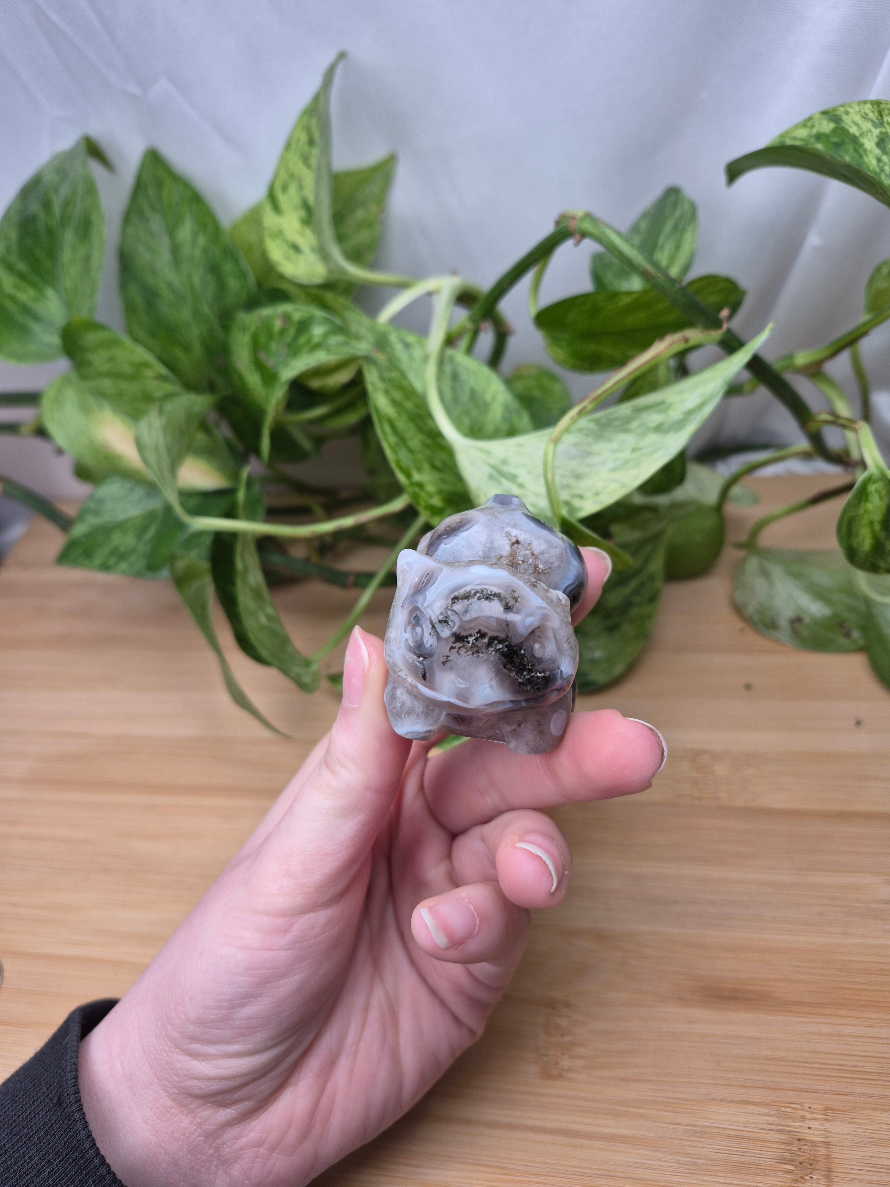 MOSS AGATE BULBASAUR MD
