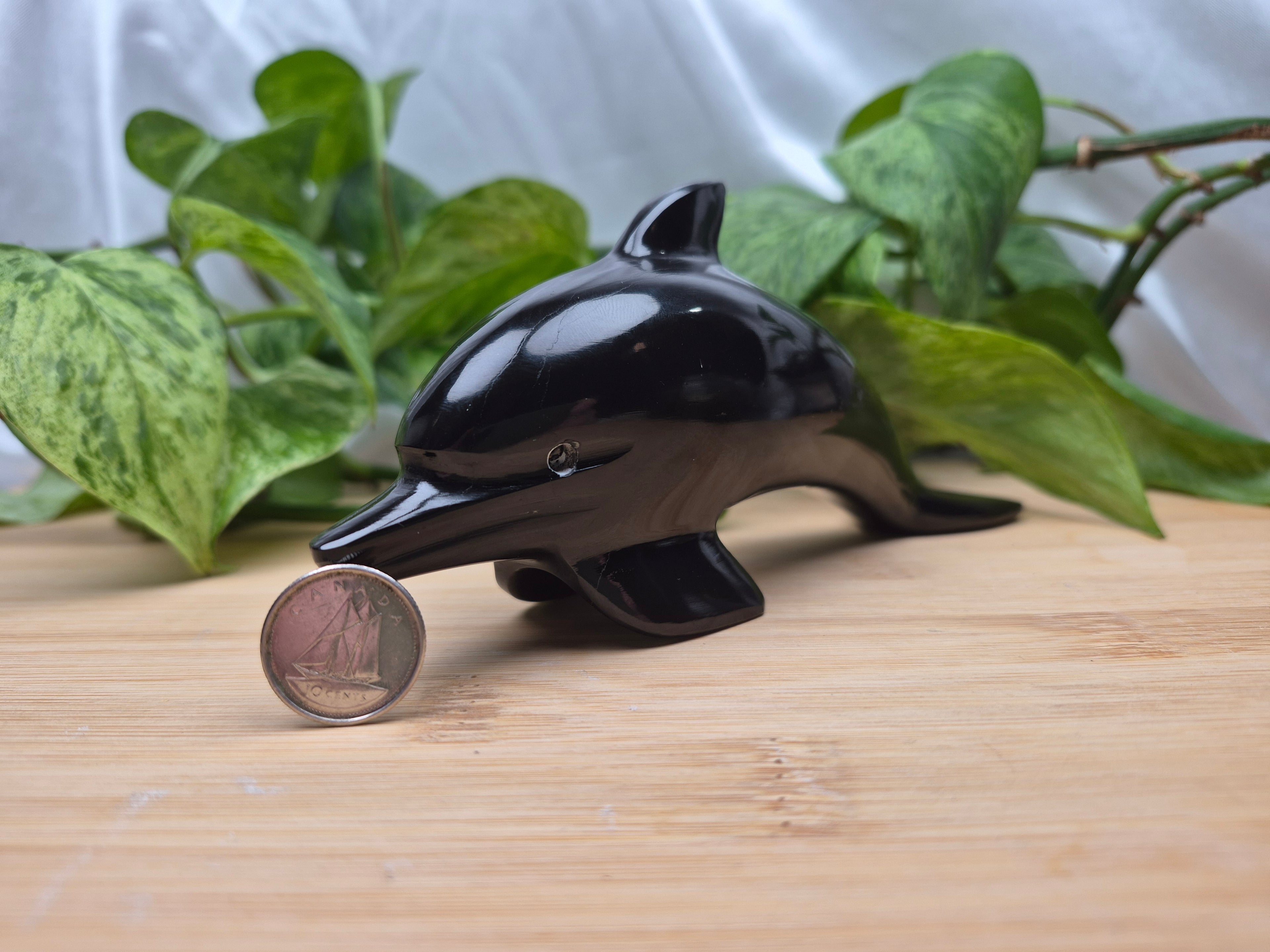 OBSIDIAN DOLPHIN