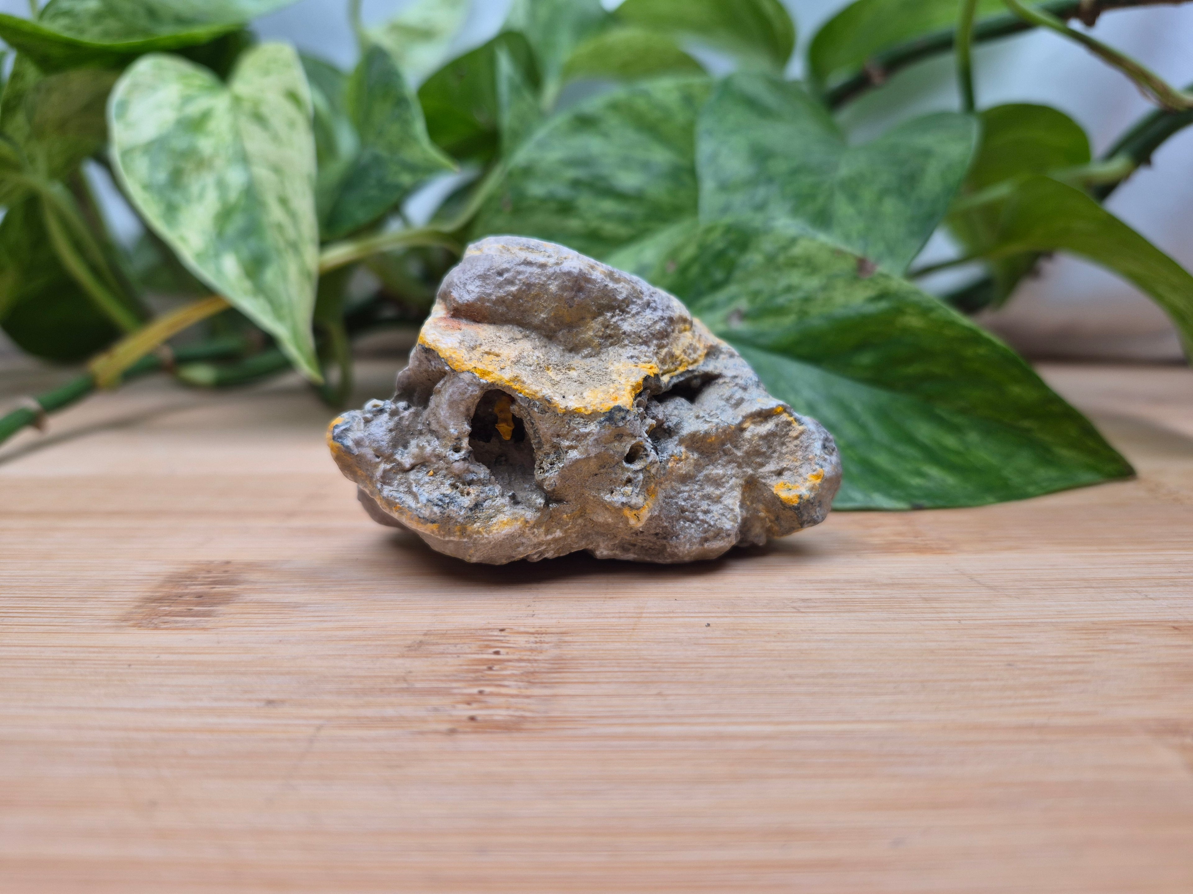 BUMBLEBEE JASPER ROUGH CHUNK
