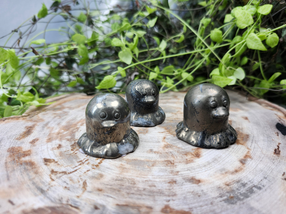 PYRITE DIGLETT