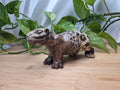 PICTURE JASPER CAPYBARA