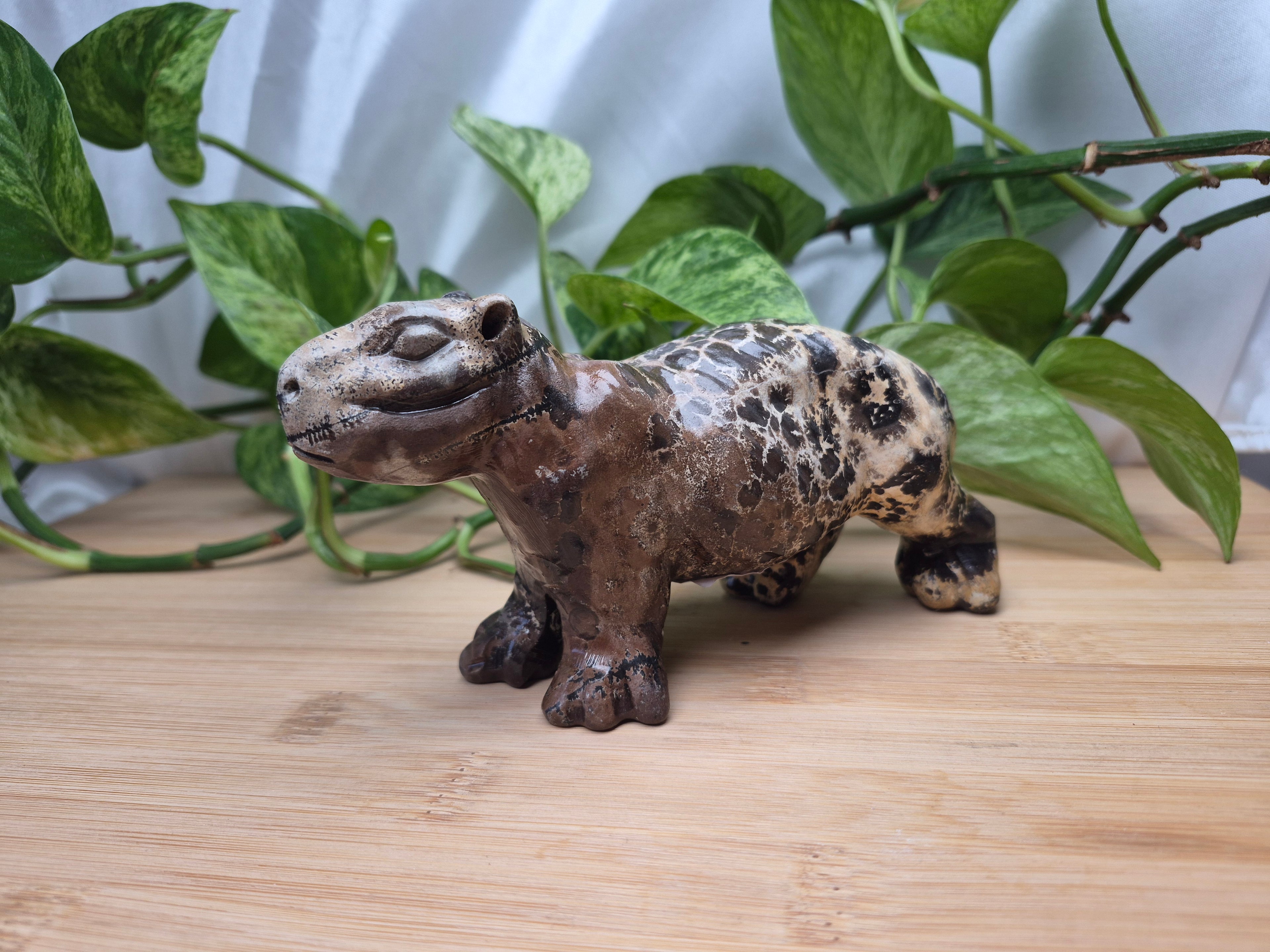 PICTURE JASPER CAPYBARA