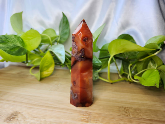 CARNELIAN TOWER