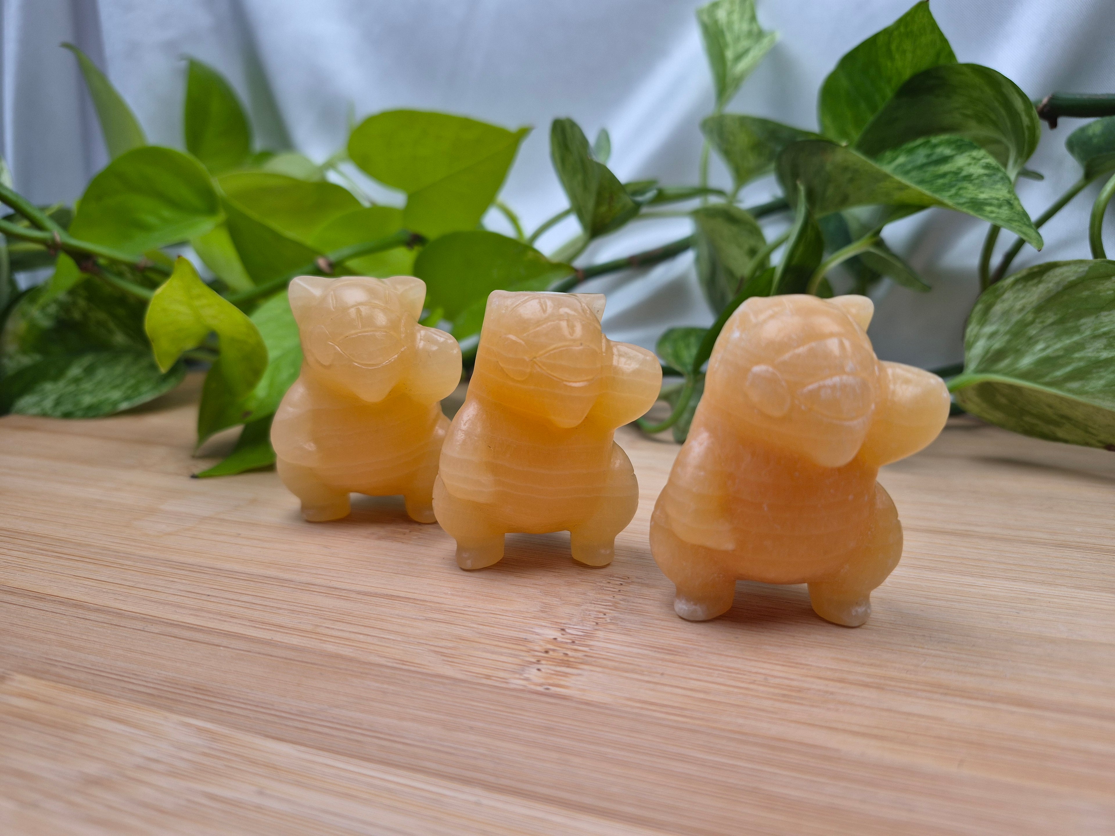 ORANGE CALCITE SANDSHREW