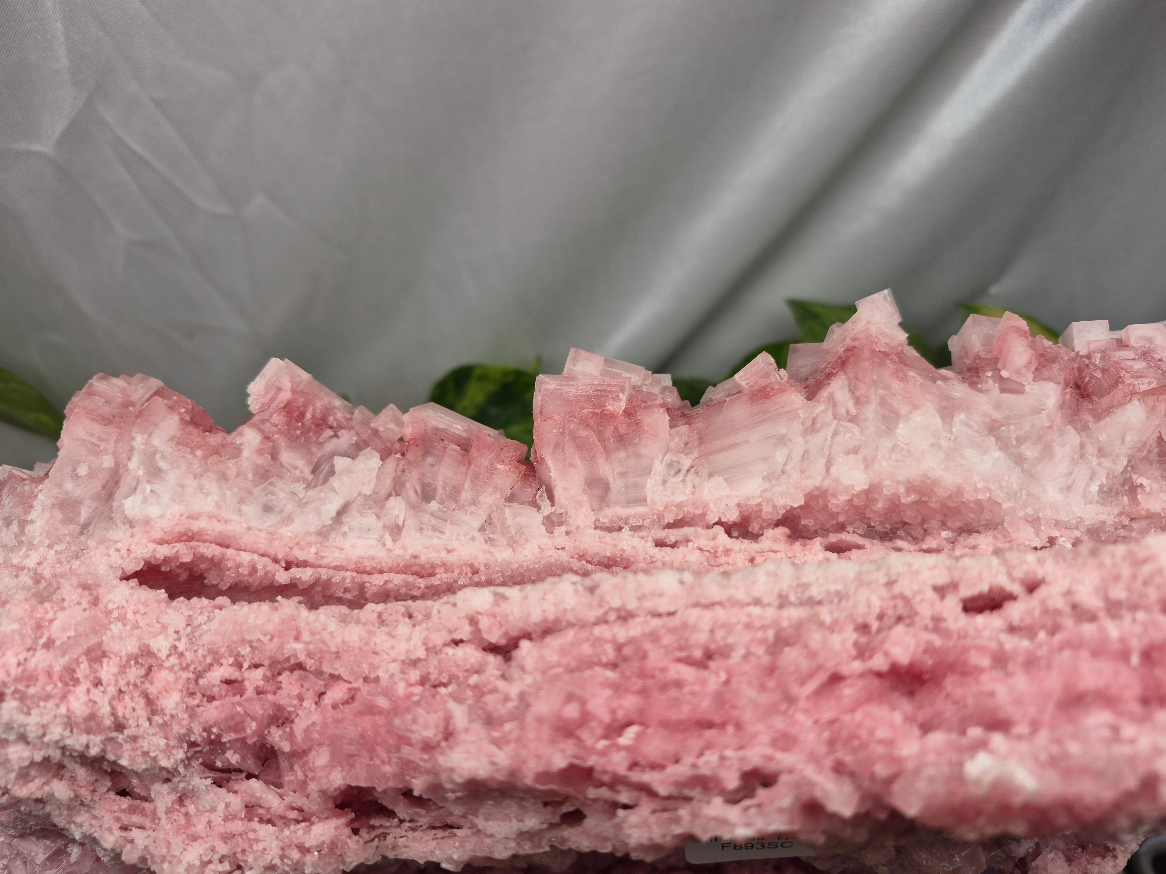 PINK HALITE CLUSTER XL