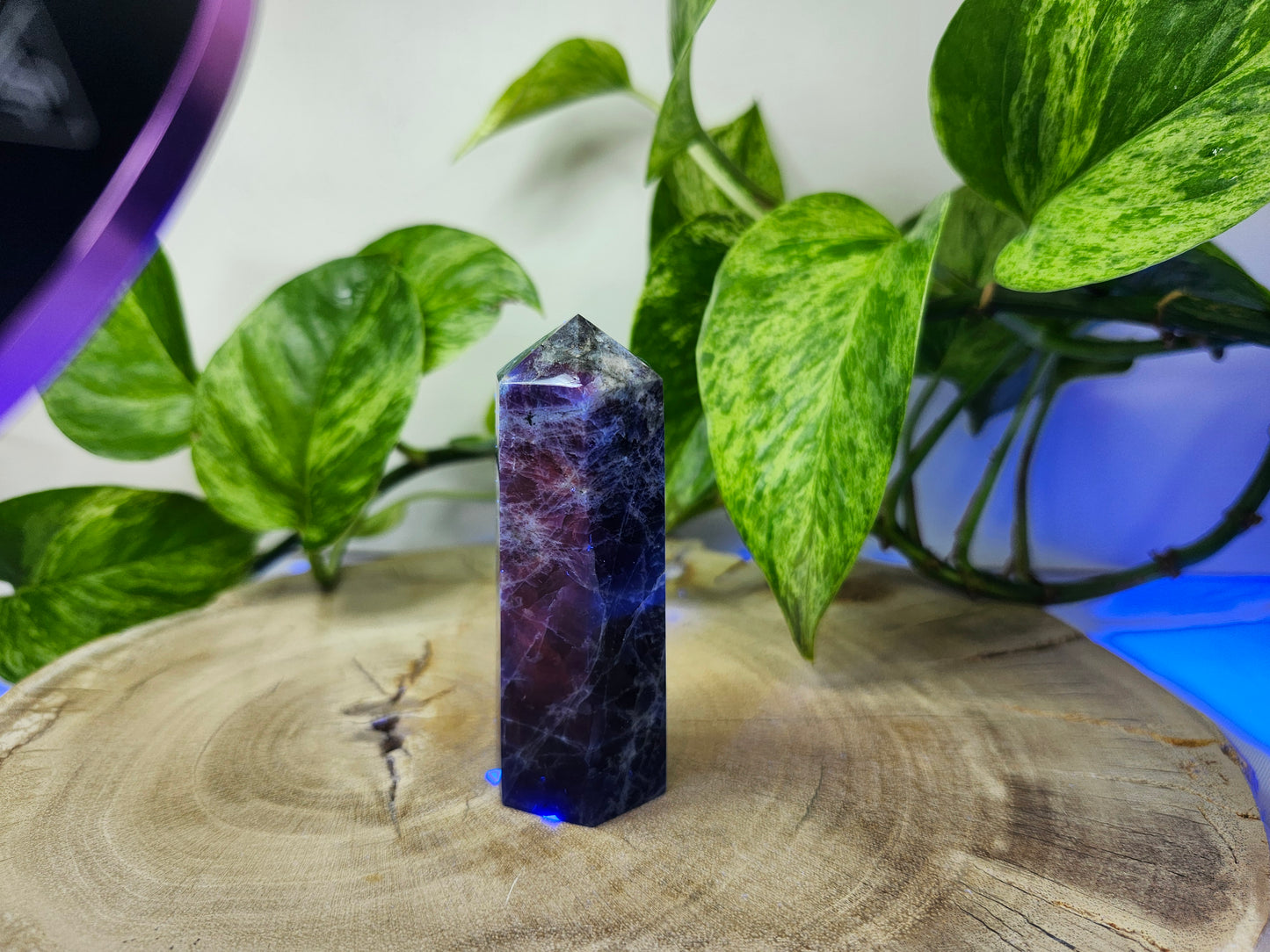 SODALITE TOWER (uv REACTIVE)