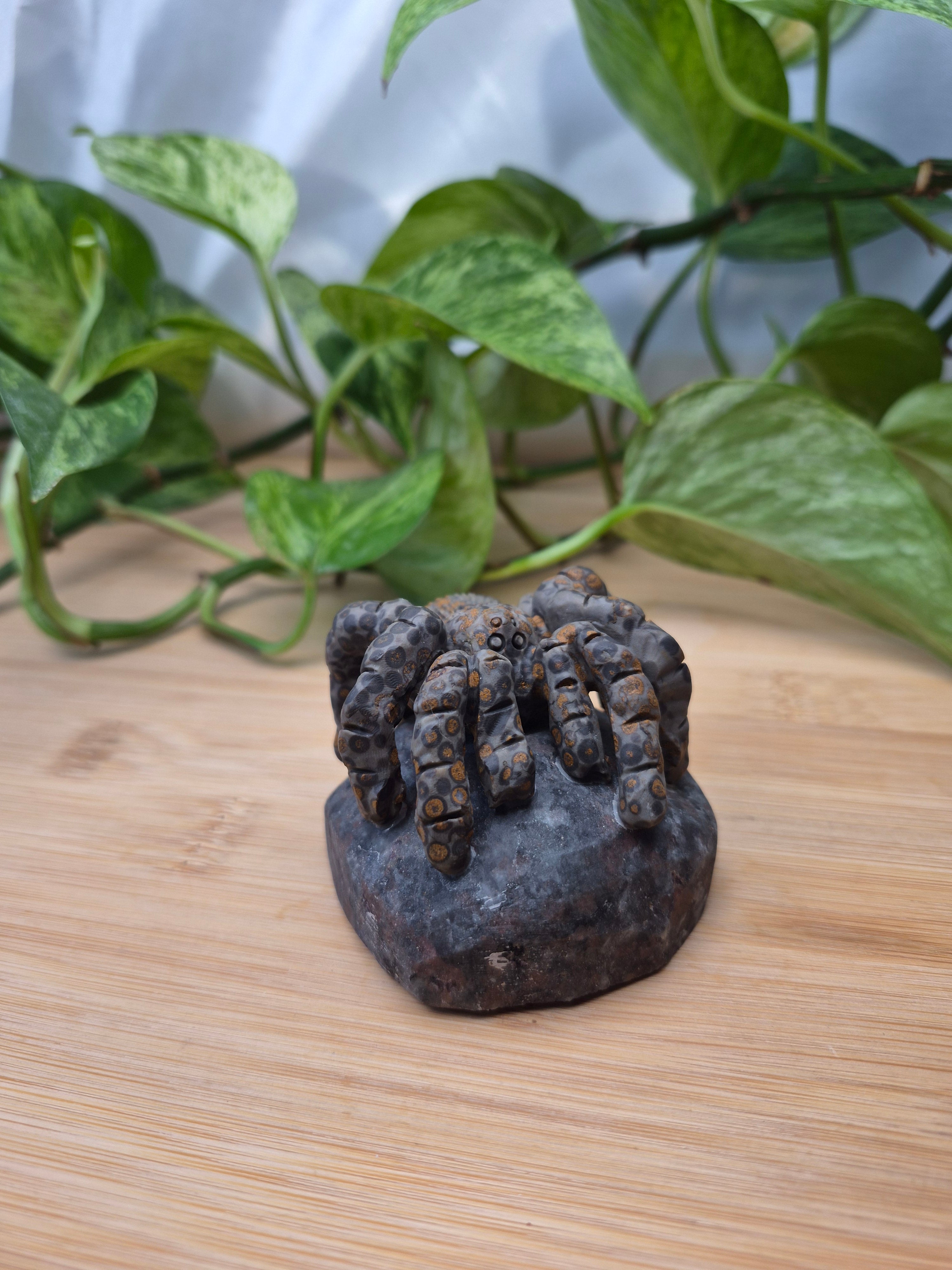 YOOPERLITE/LEOPARDITE TARANTULA