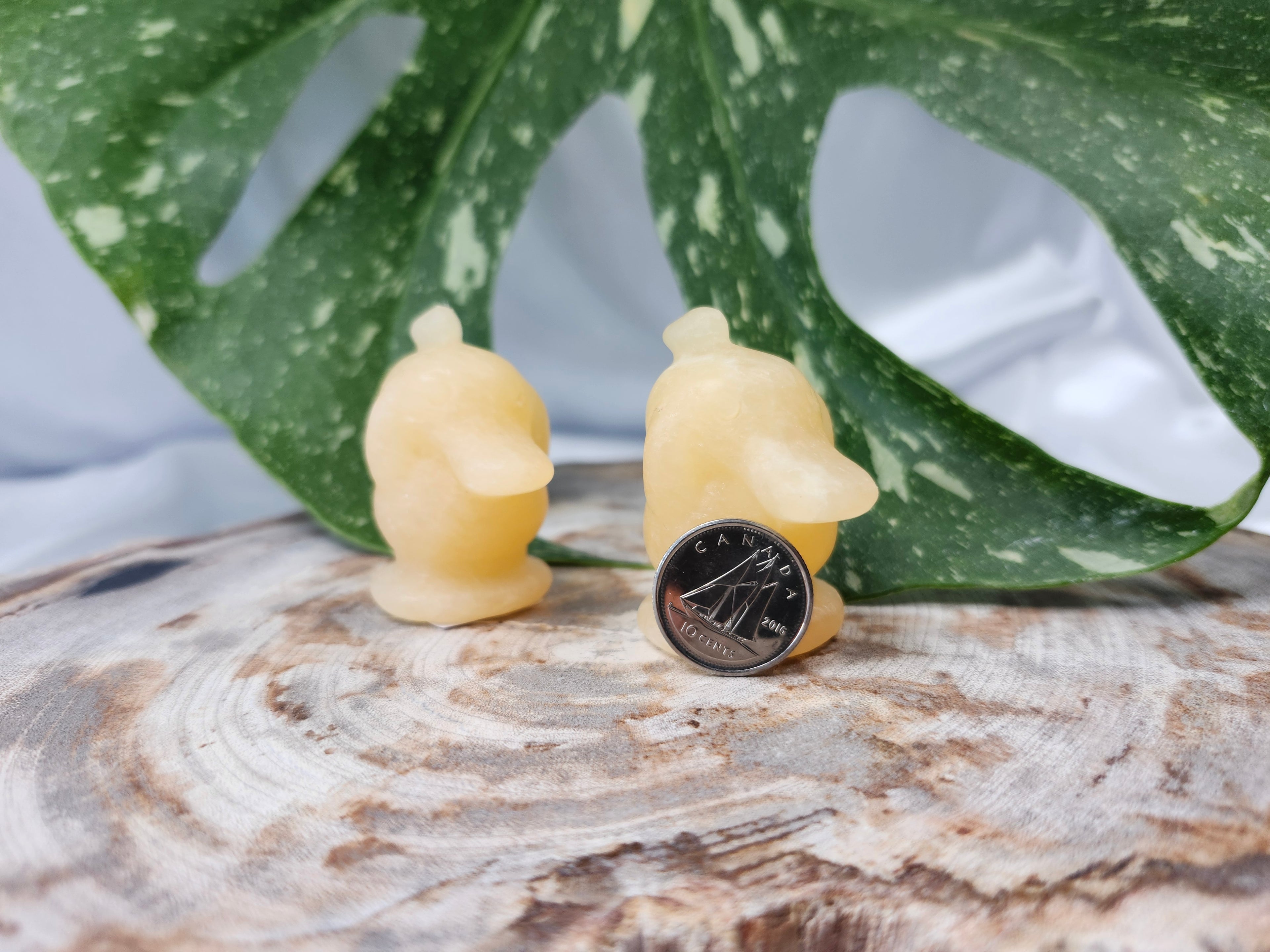 ORANGE CALCITE PSYDUCK