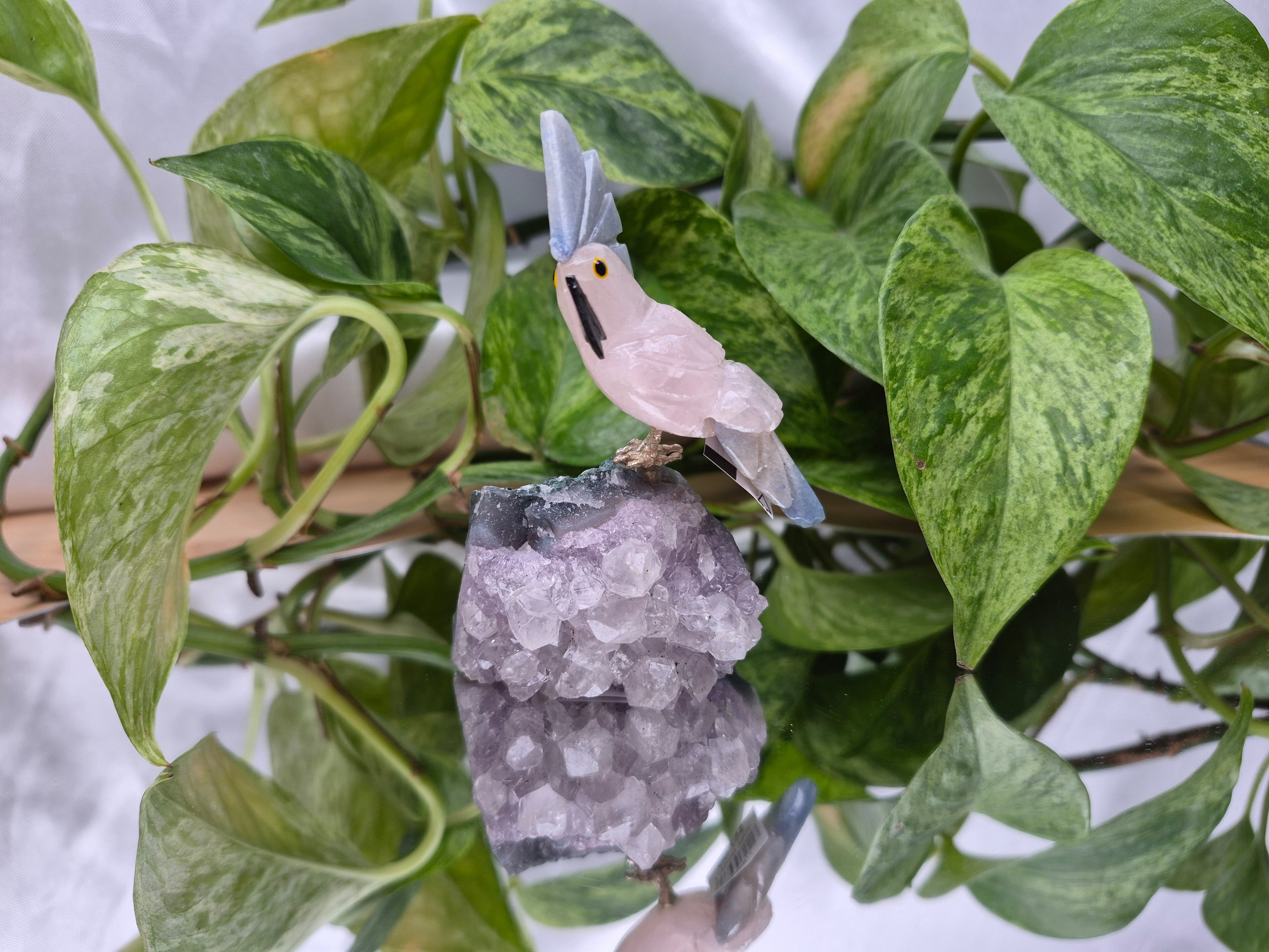 ROSE QUARTZ PARROT ON AMETHYST BASE