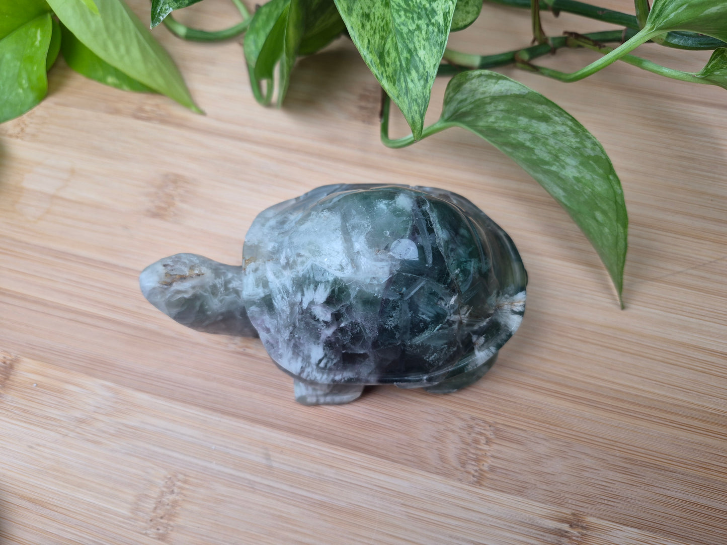 FEATHER FLUORITE TURTLE