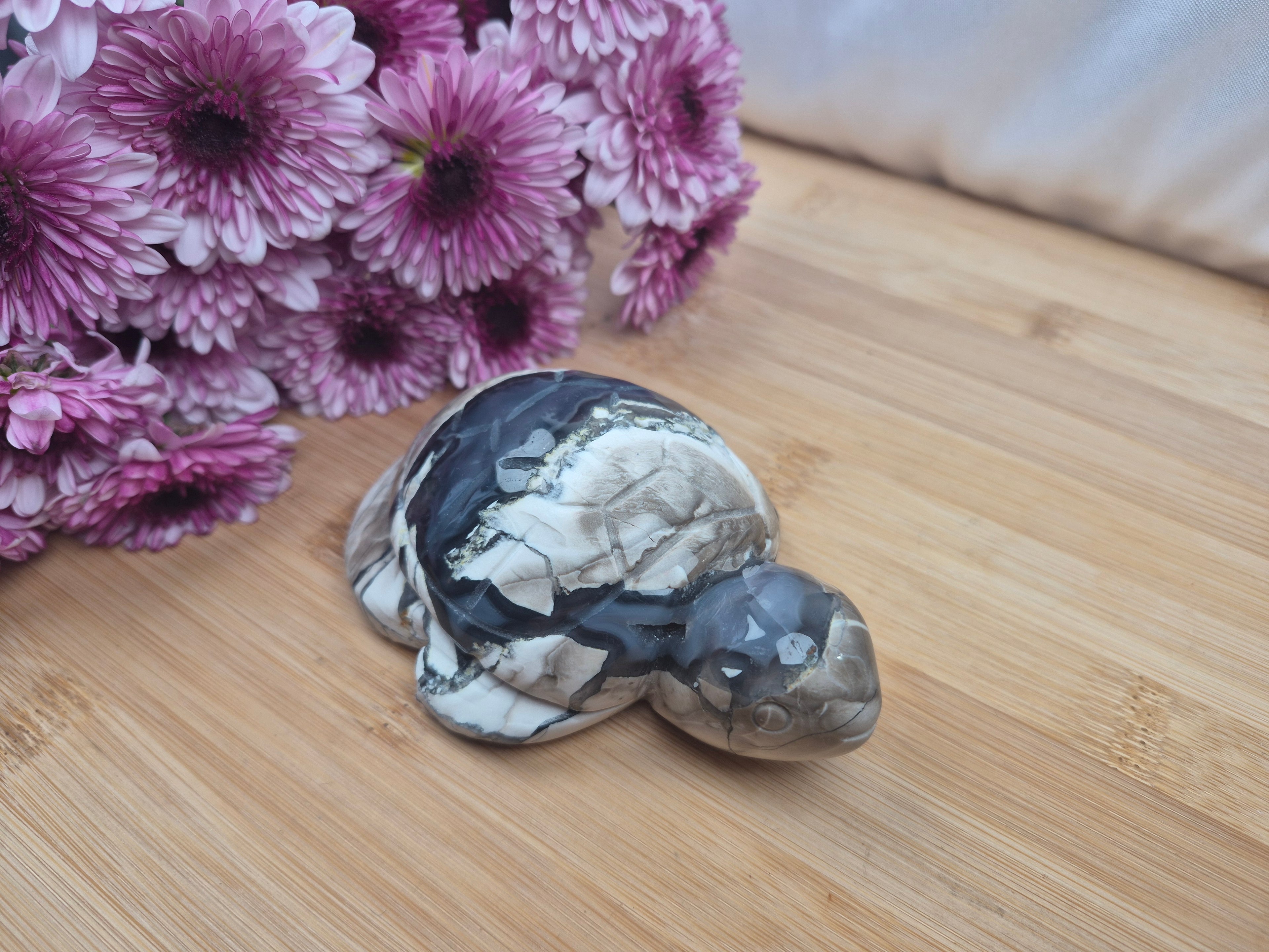 VOLCANO AGATE TURTLE