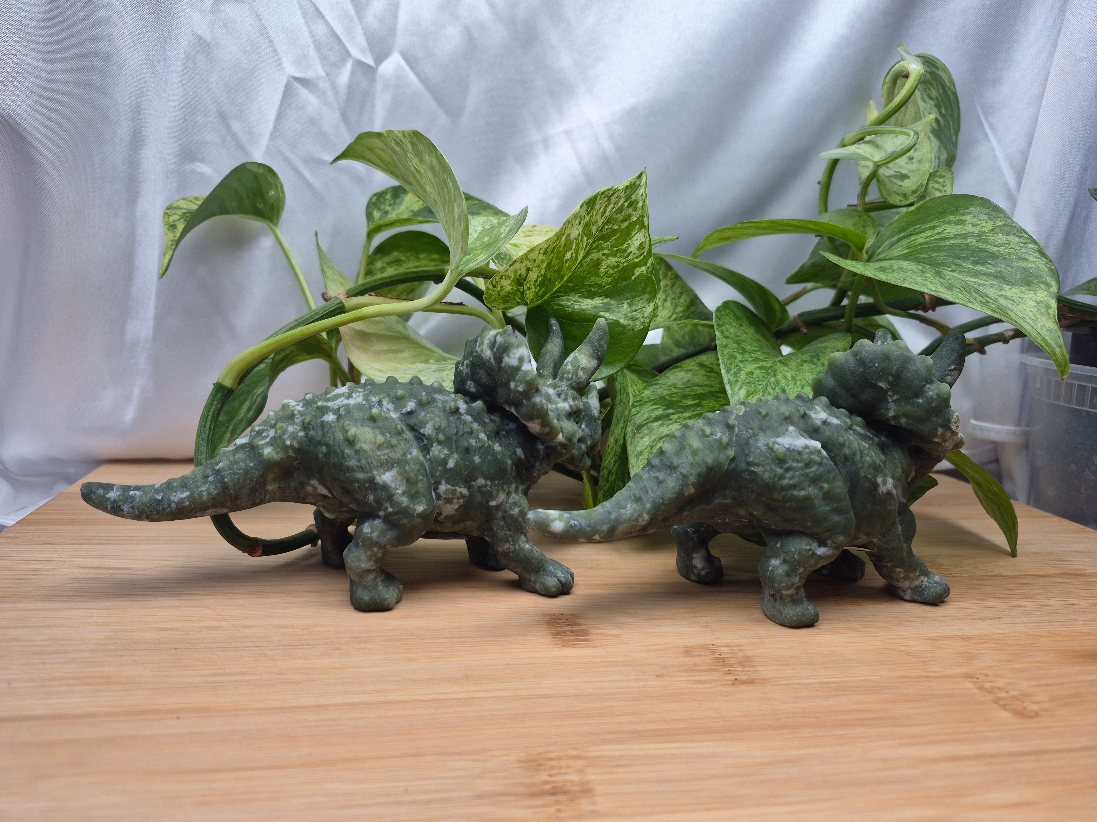 JADE TRICERATOPS