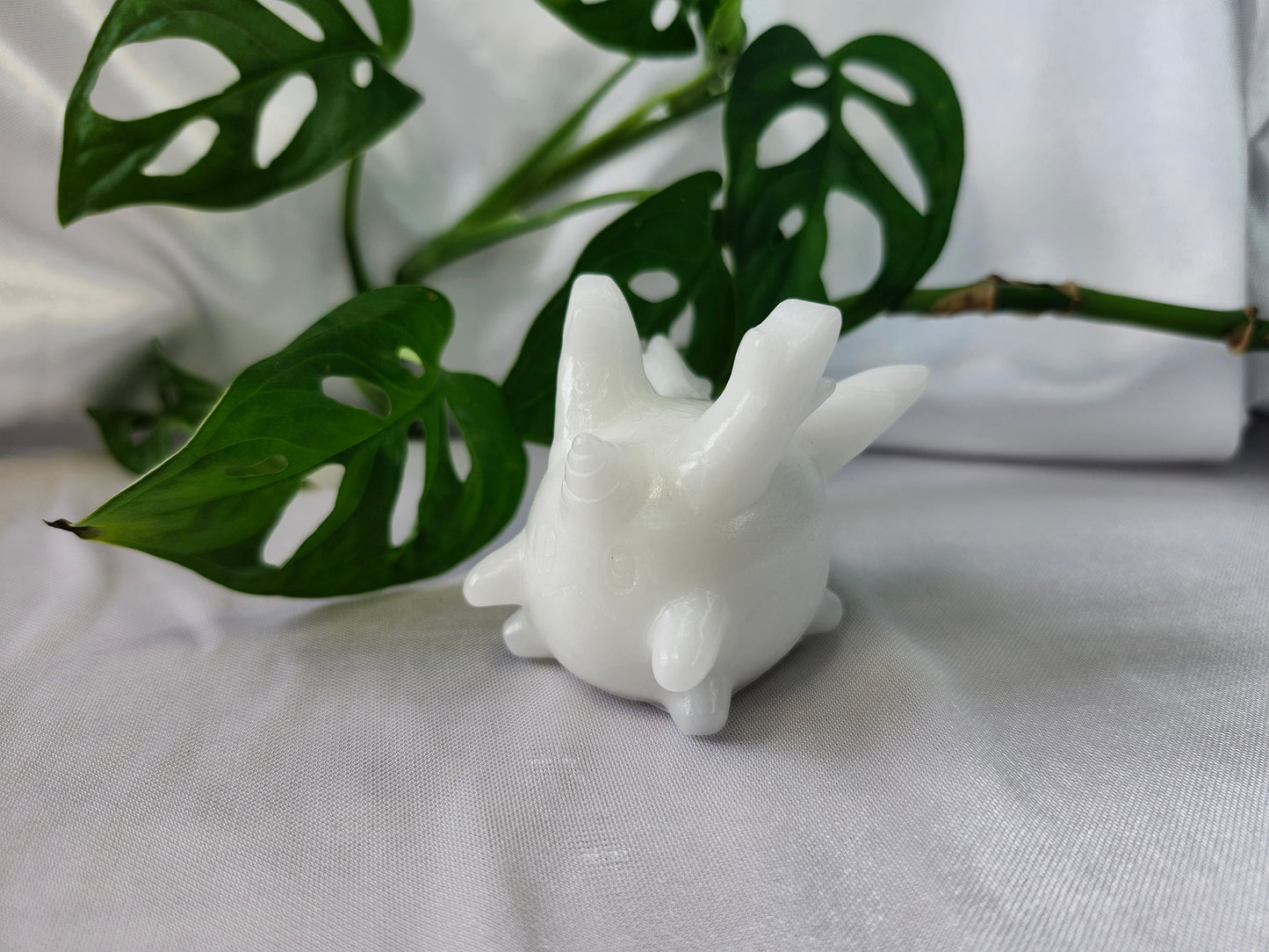 WHITE JADE CORSOLA