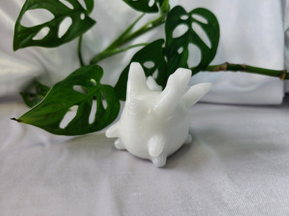 WHITE JADE CORSOLA