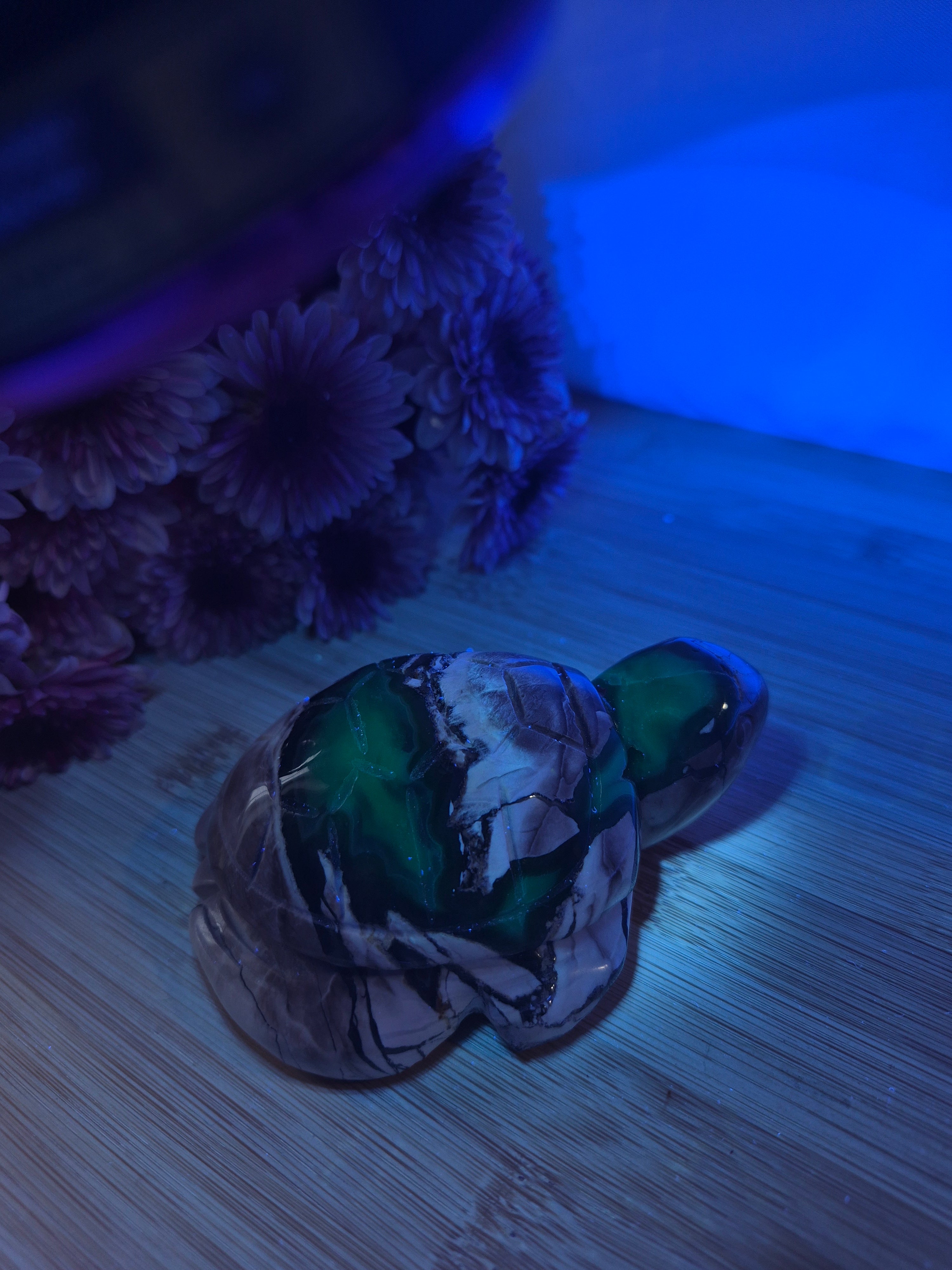 VOLCANO AGATE TURTLE