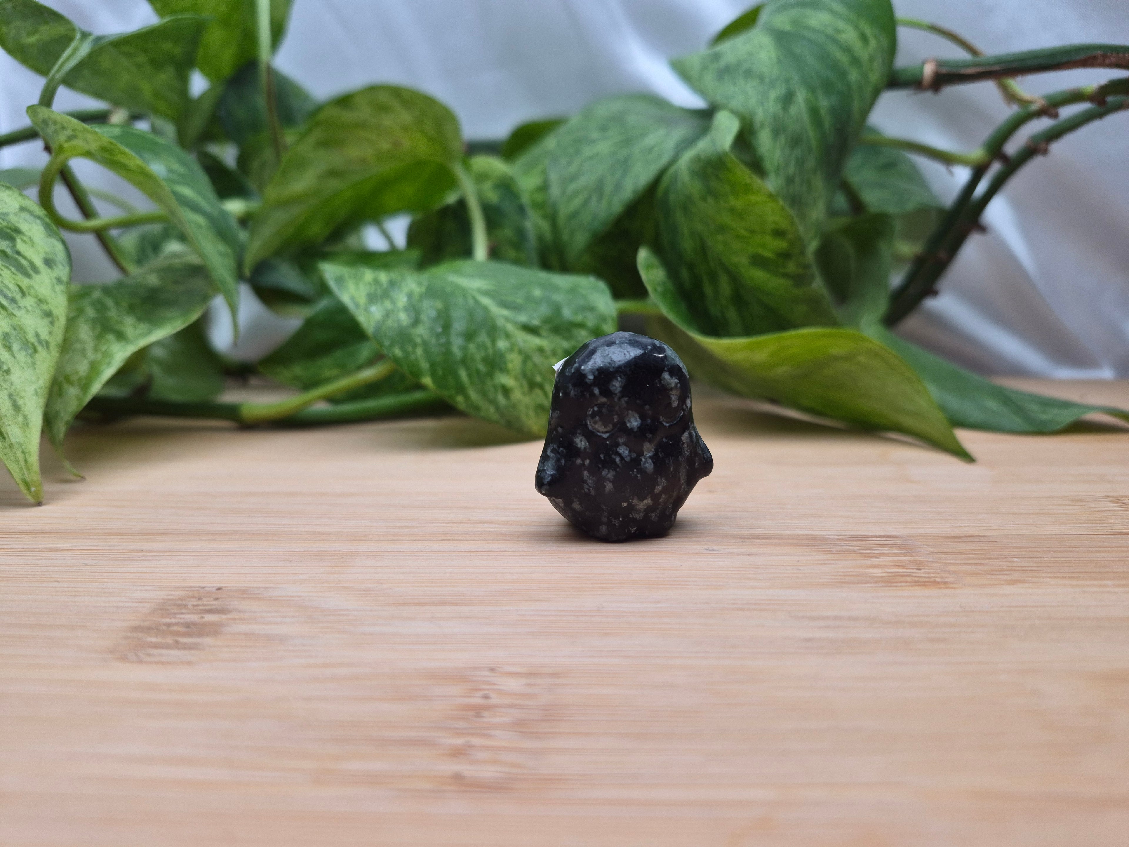SNOWFLAKE OBSIDIAN PINGUIN