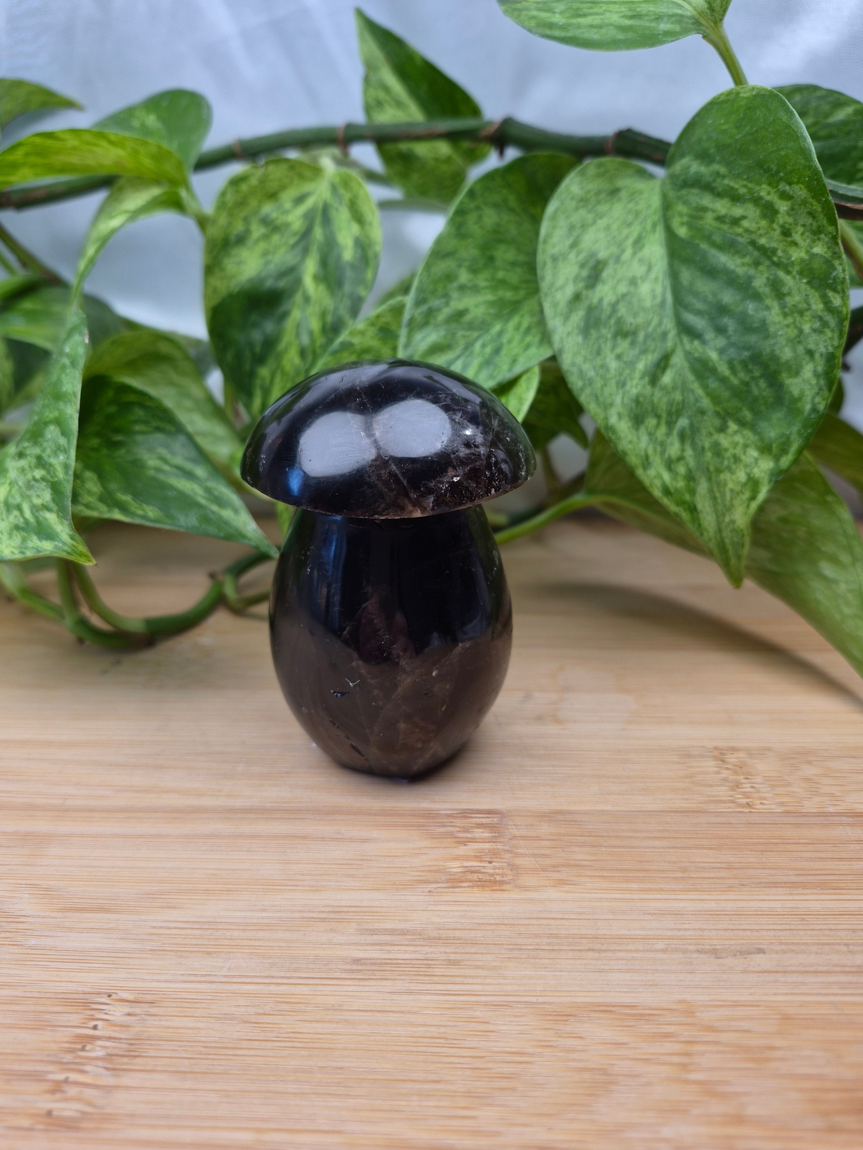 SMOKY QUARTZ MUSHROOM