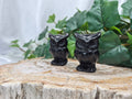OBSIDIAN OWL
