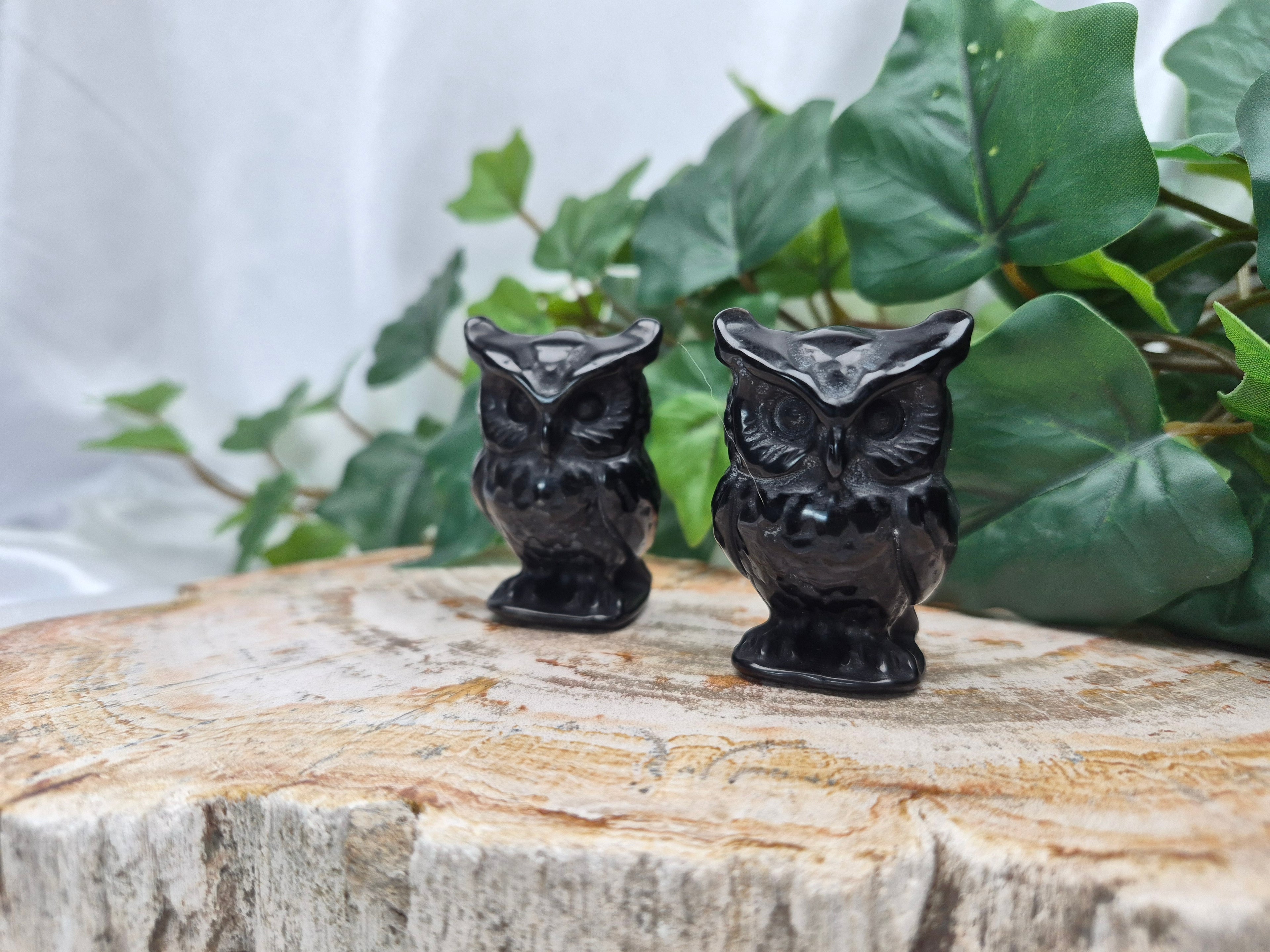 OBSIDIAN OWL