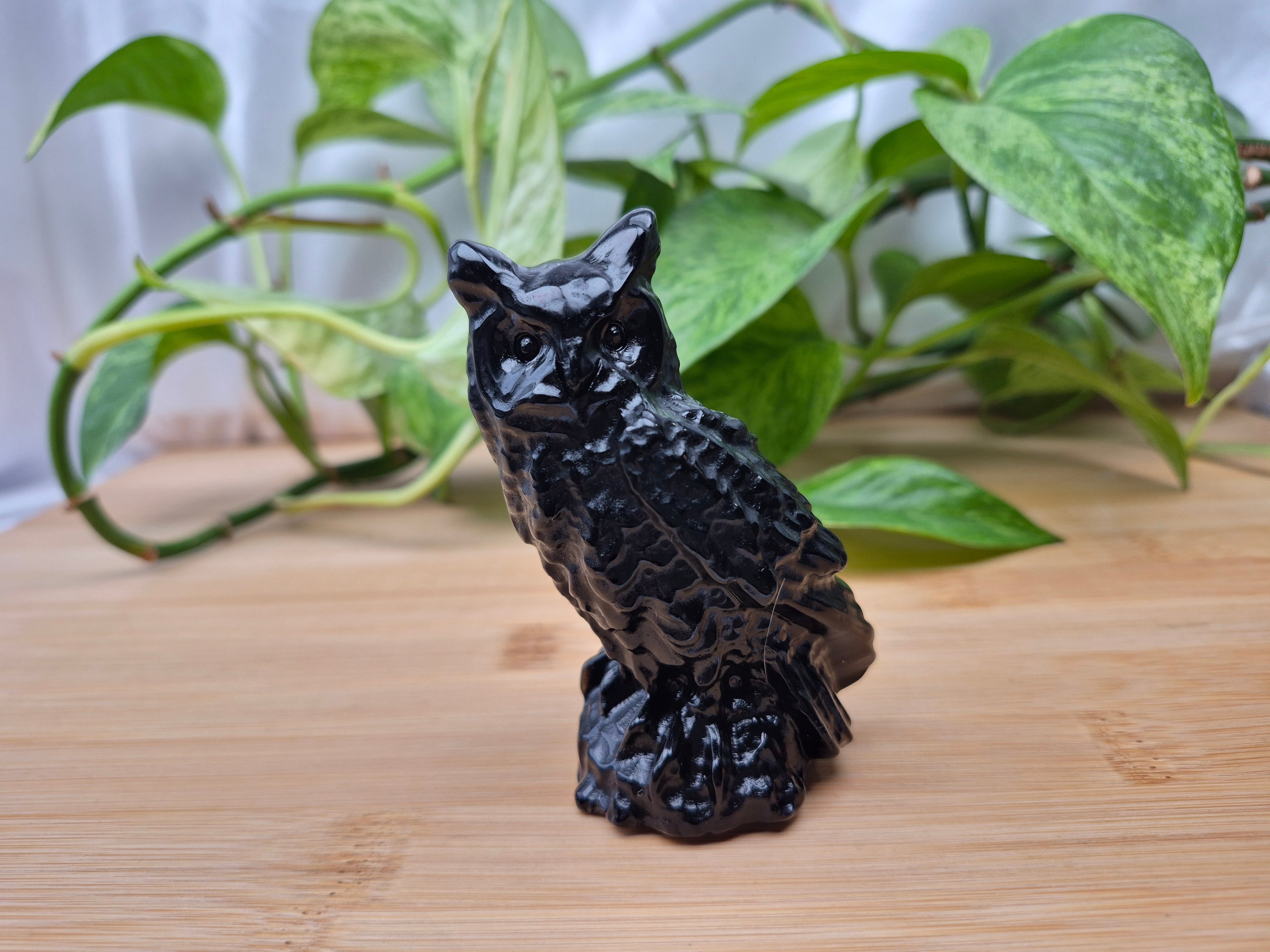 OBSIDIAN OWL
