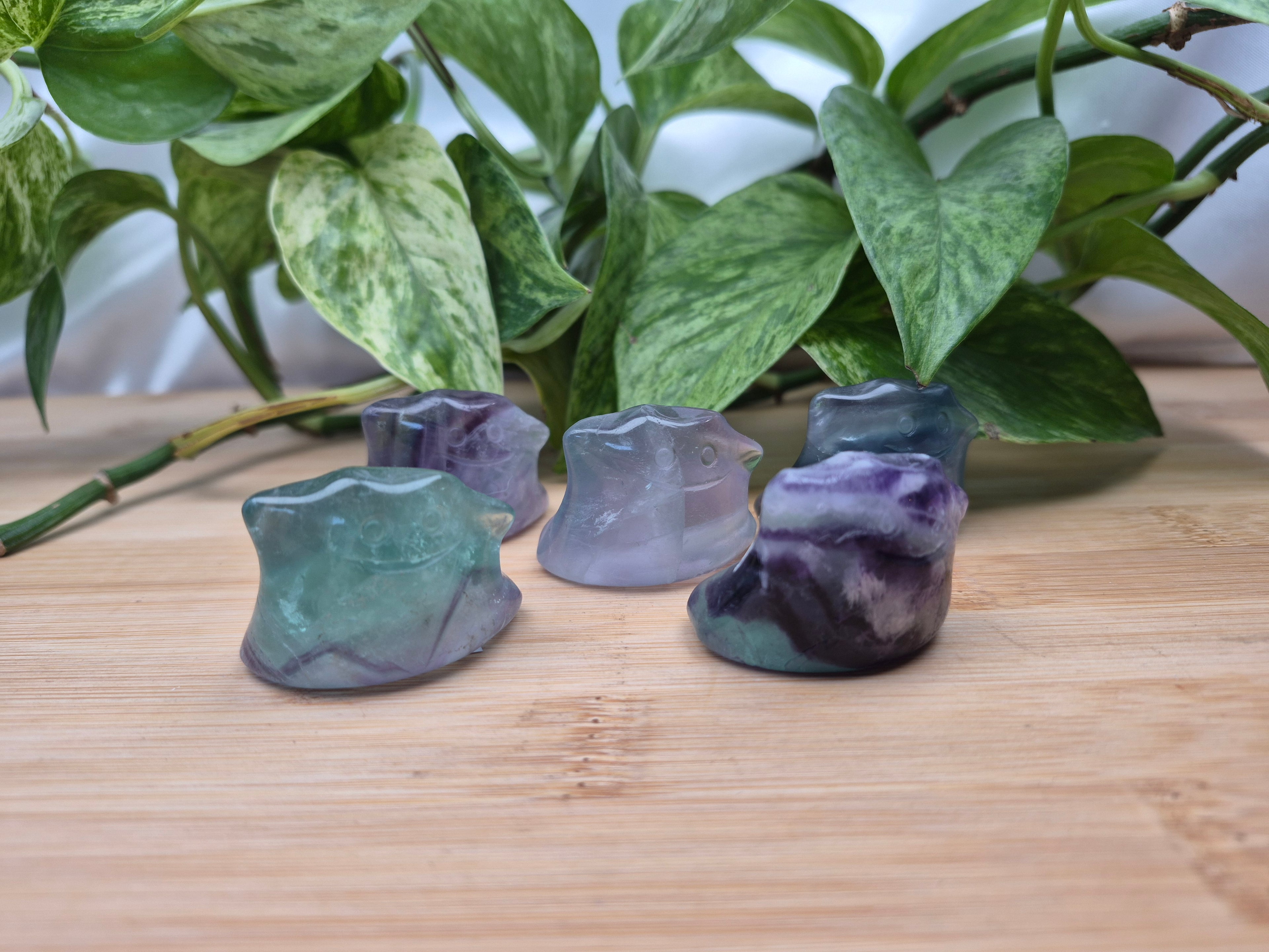 FLUORITE DITTO