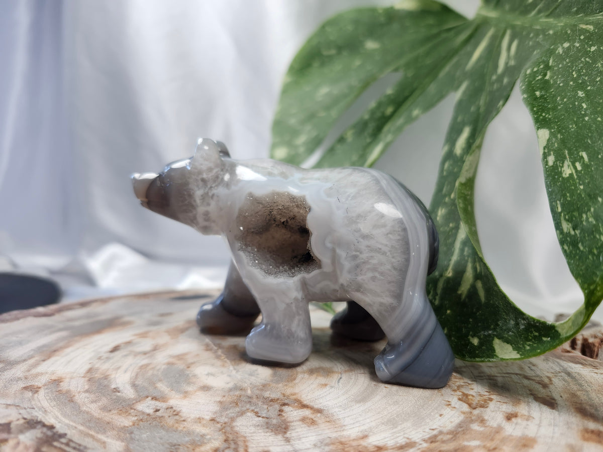 DRUZY AGATE BEAR