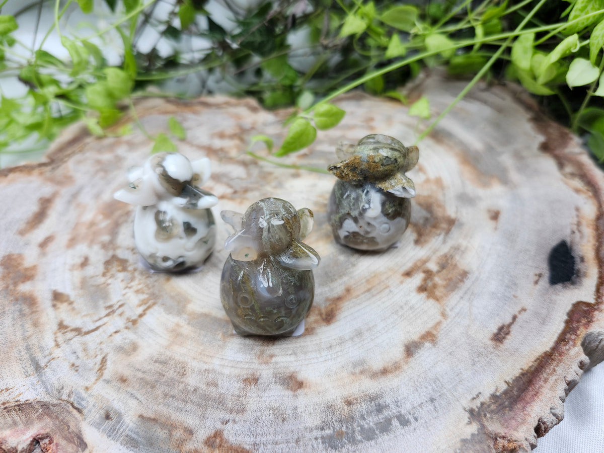 MOSS AGATE SMOLIV