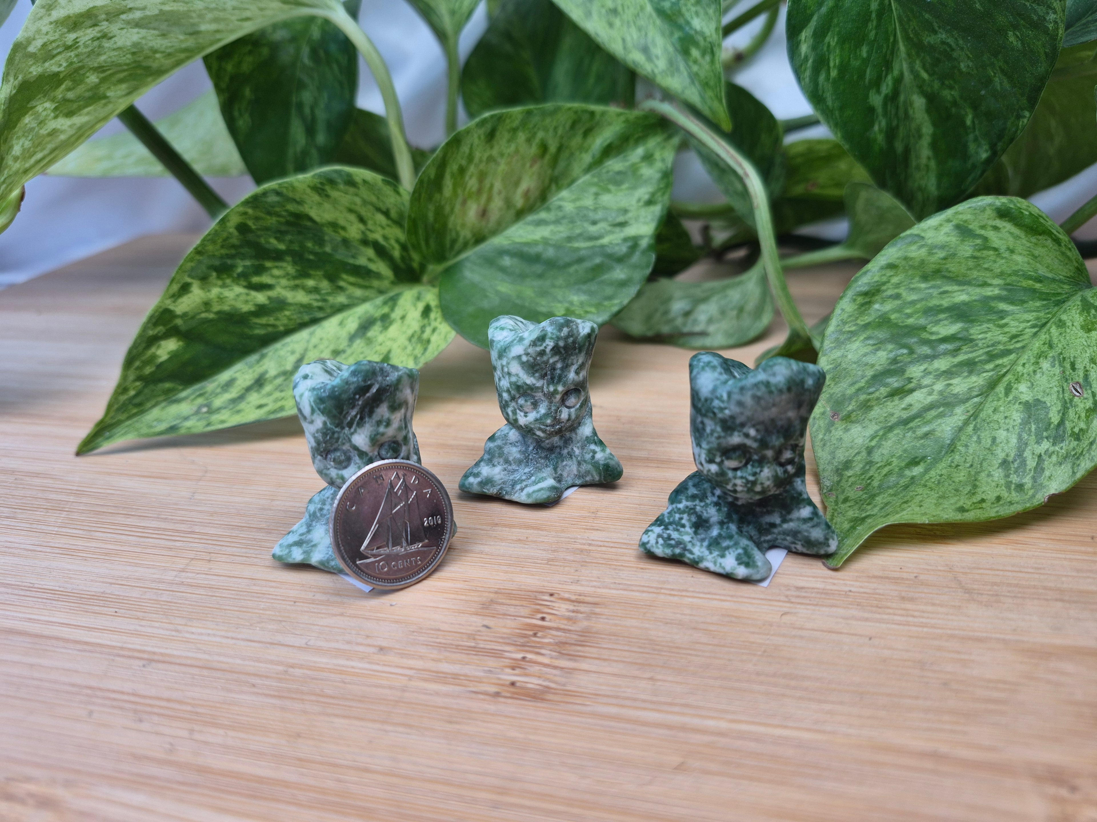 TREE AGATE GROOT
