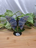 SODALITE BUTTERFLY WINGS
