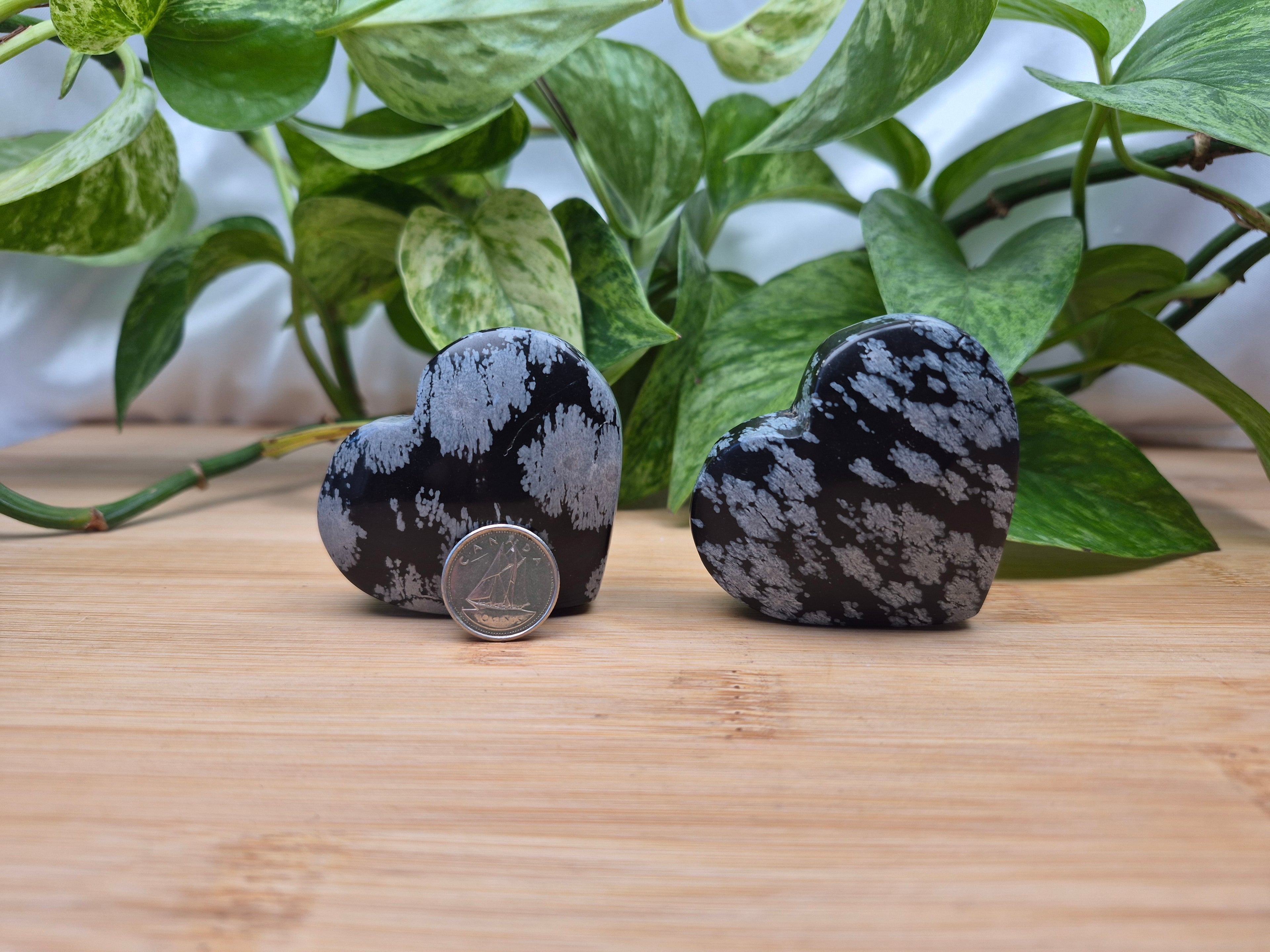 SNOWFLAKE OBSIDIAN HEART