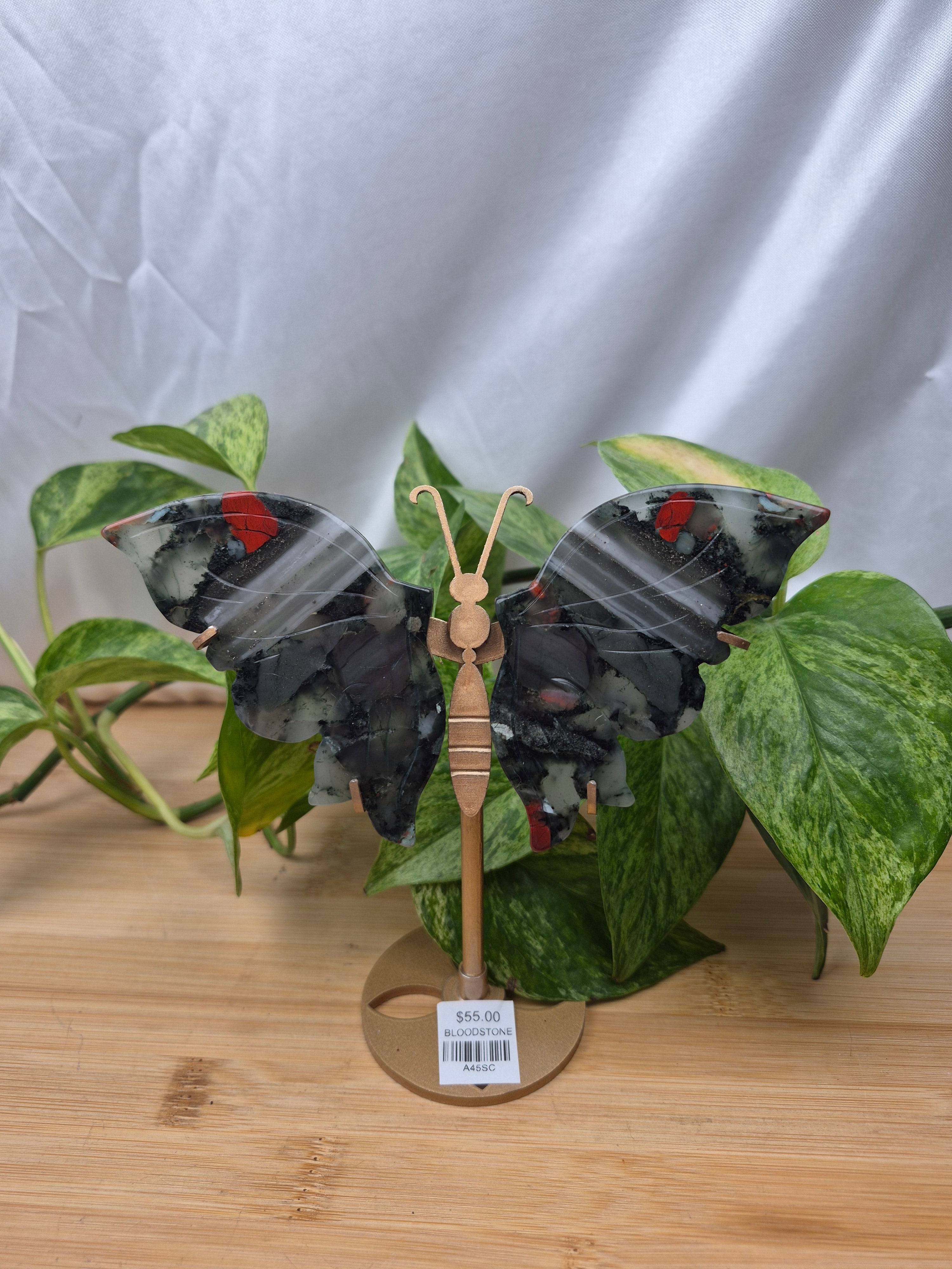 BLOODSTONE BUTTERFLY WINGS