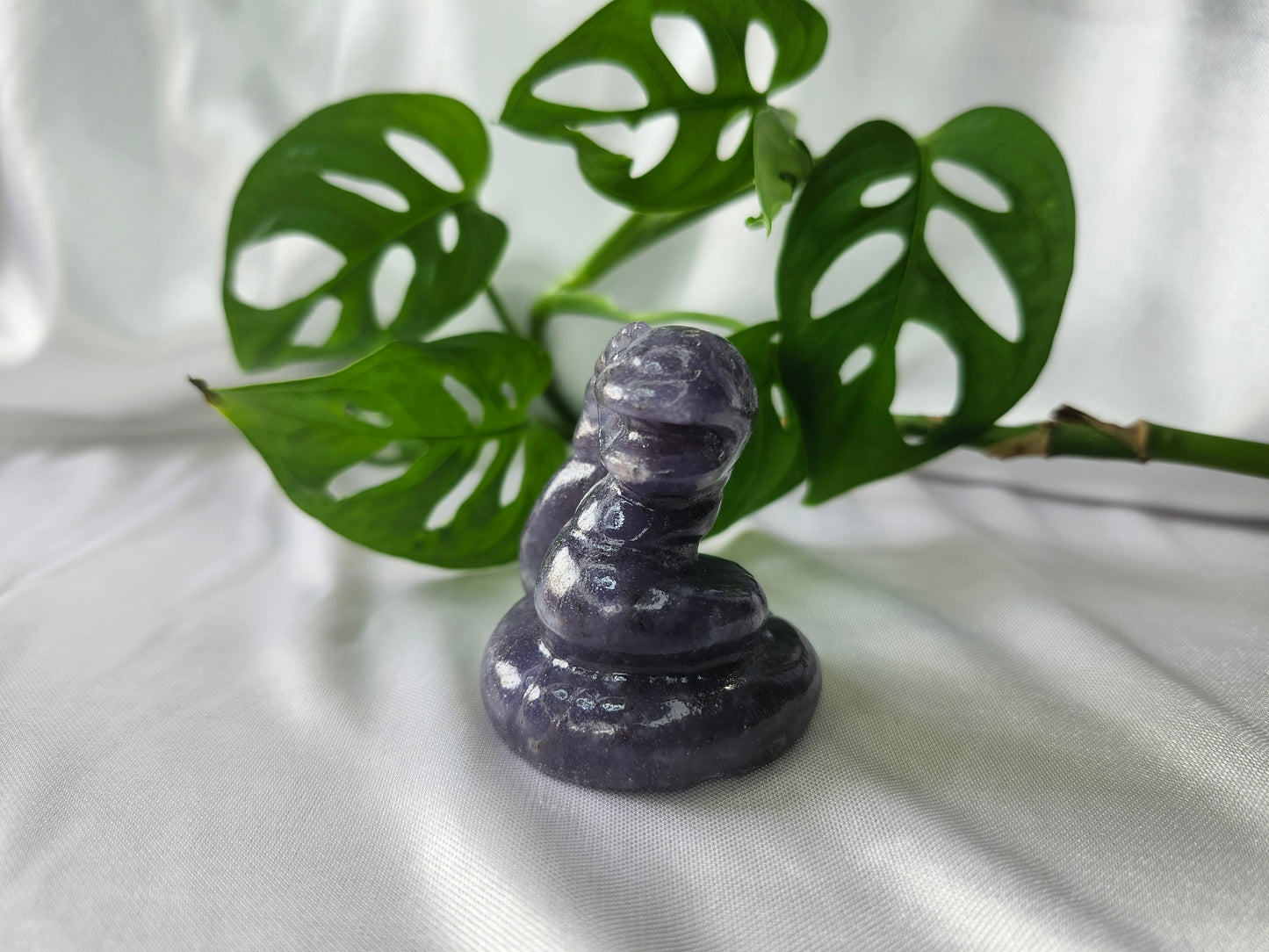LEPIDOLITE EKANS LG
