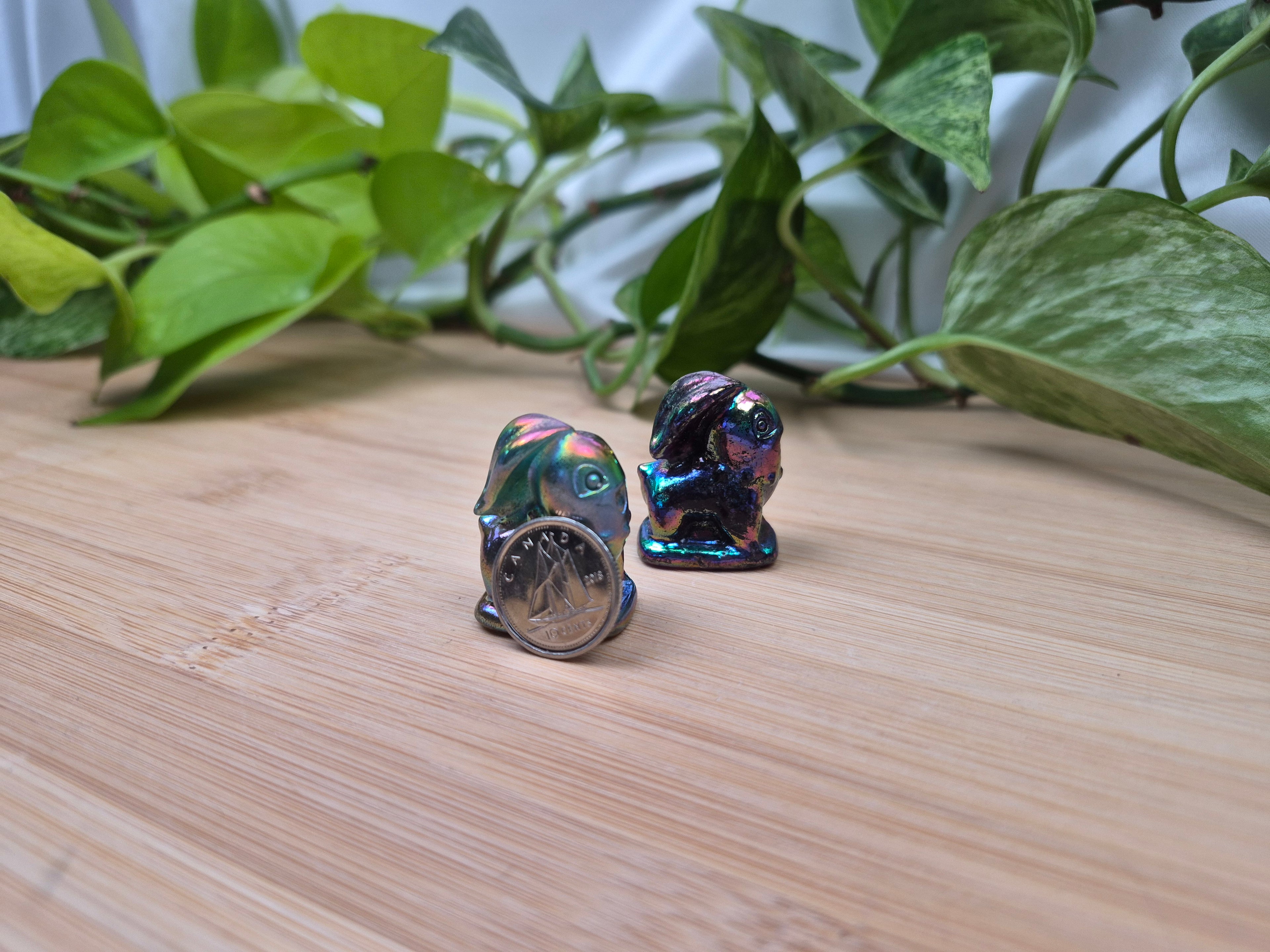 AURA QUARTZ CHIKORITA