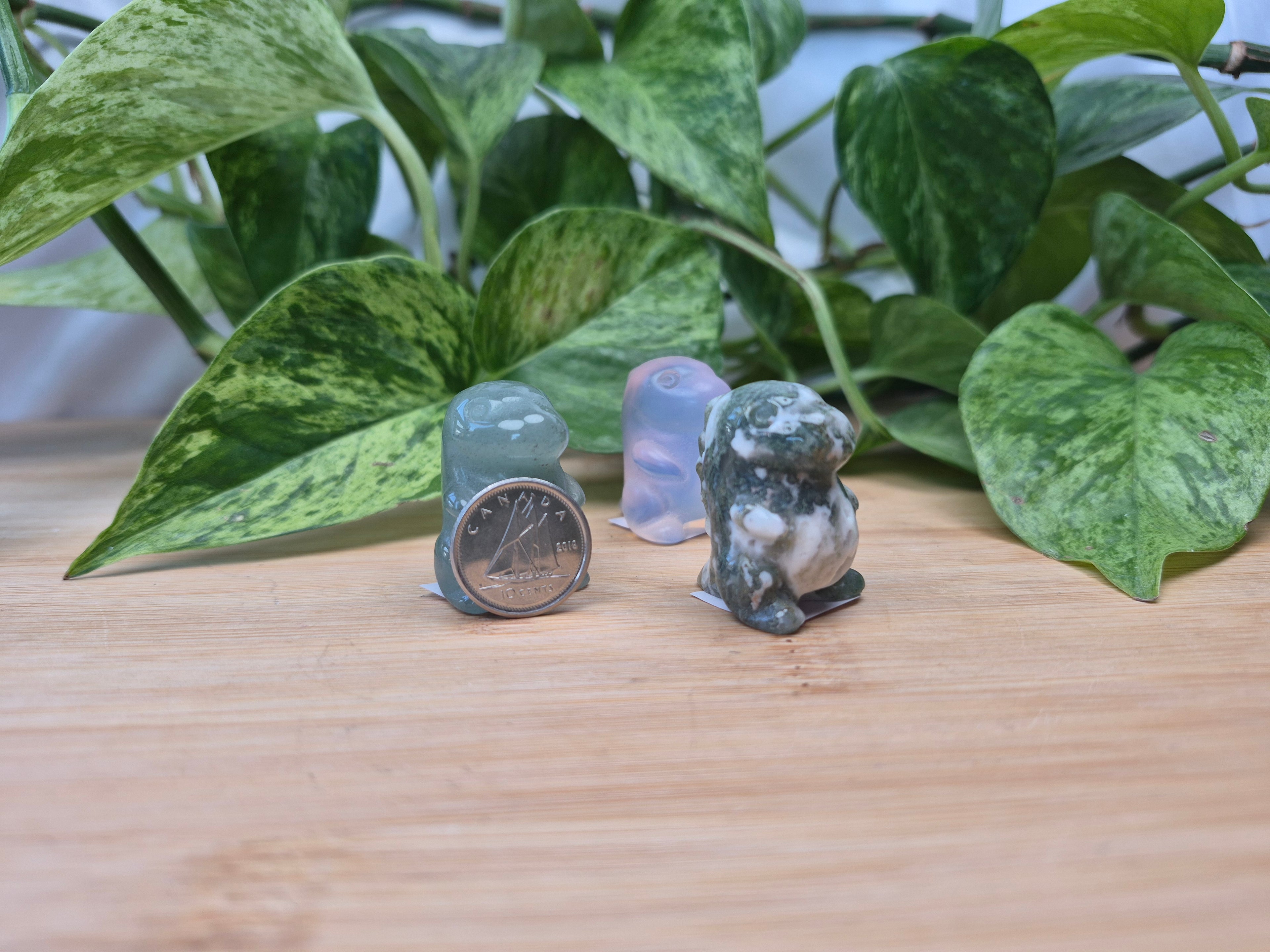 MIXED CRYSTAL CHUBBY DINOSAUR SM