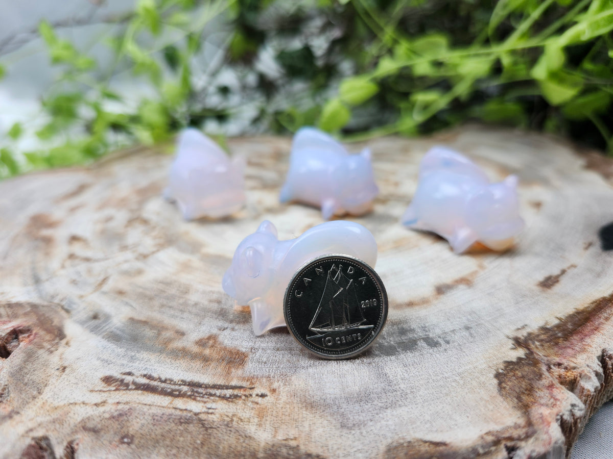 PINK OPALITE SLOWPOKE