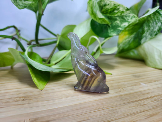 FLUORITE DOLPHIN