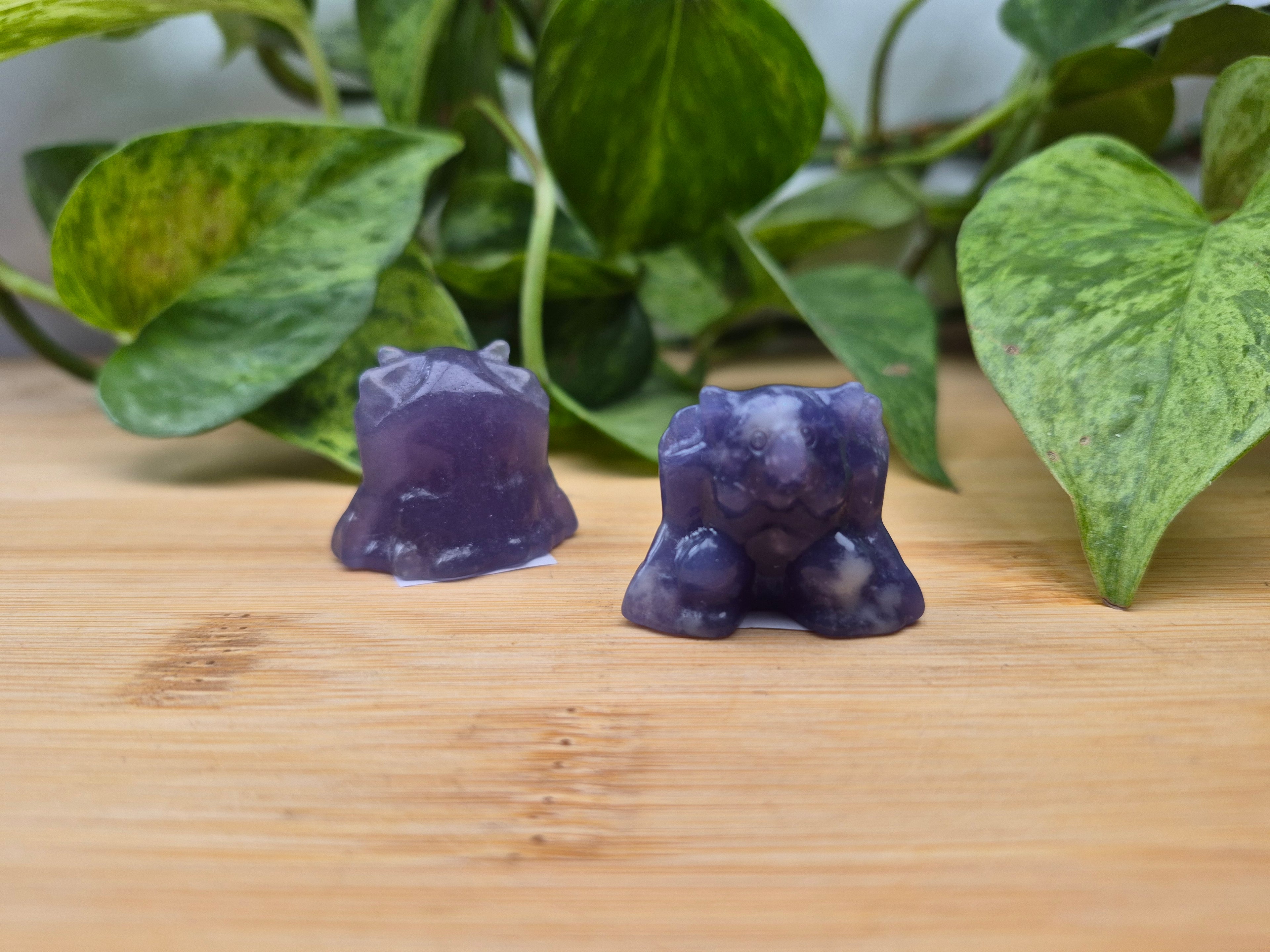 LEPIDOLITE NIDOKING