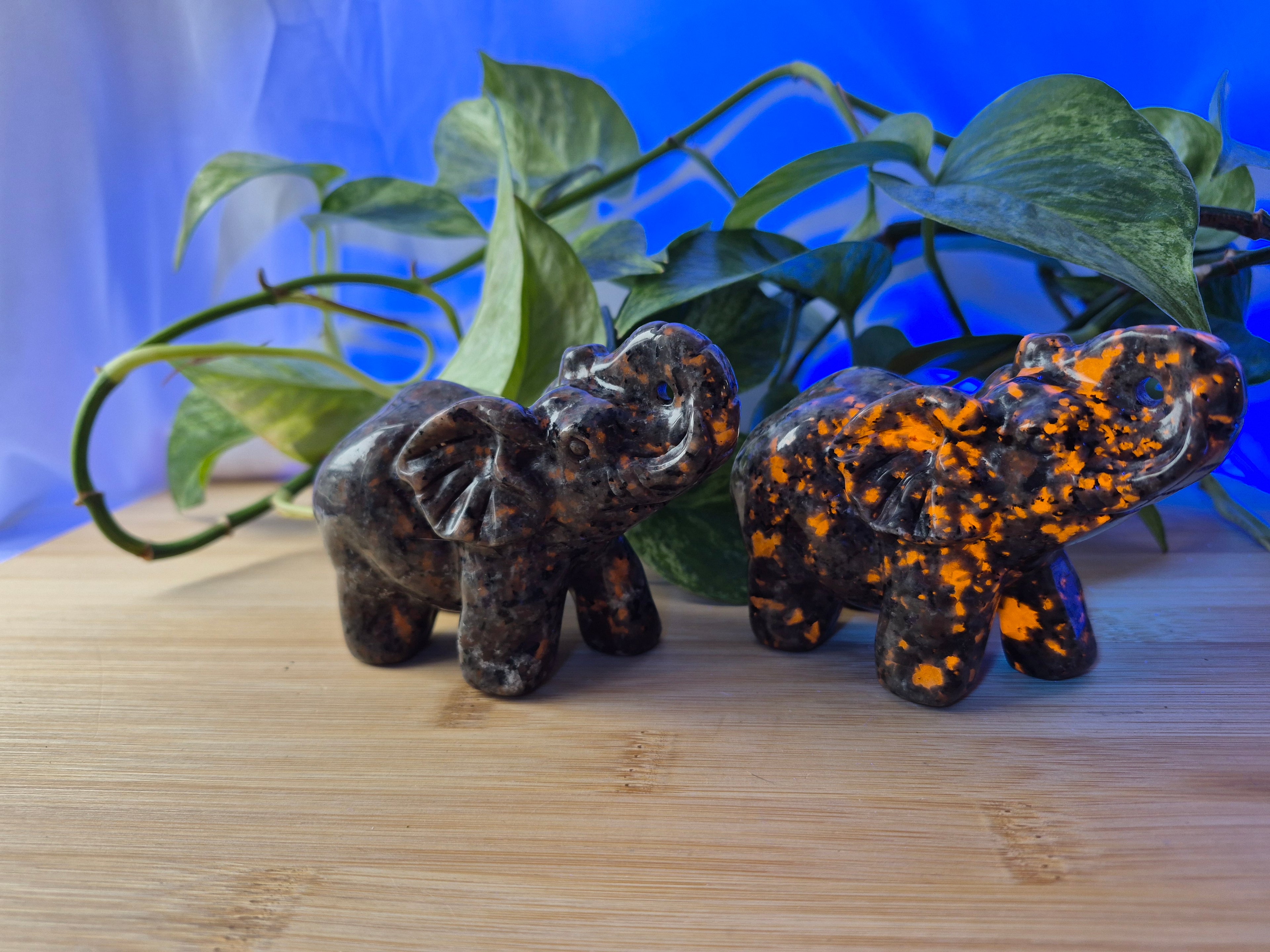 YOOPERLITE ELEPHANT