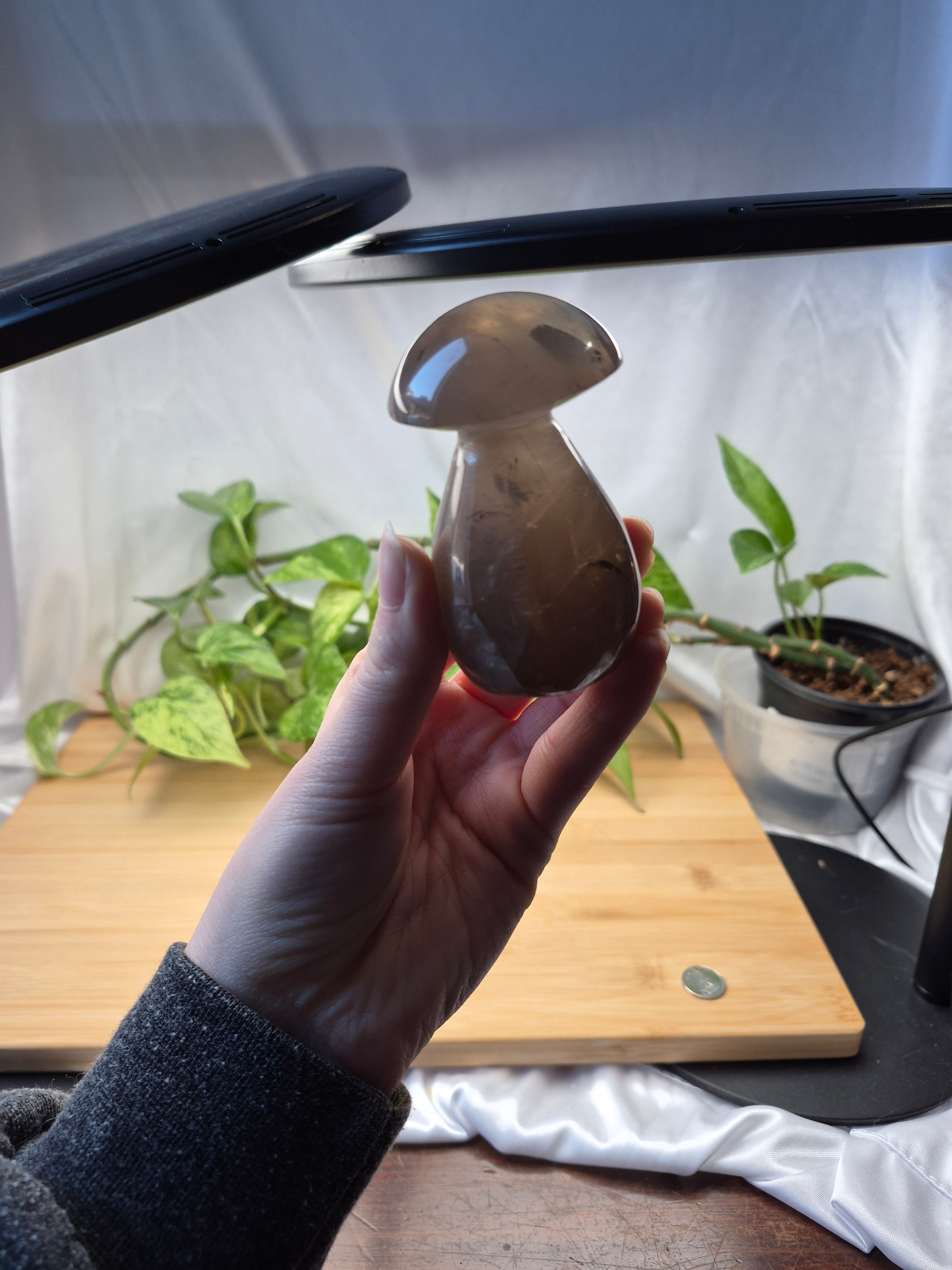 SMOKY MOONSTONE MUSHROOM